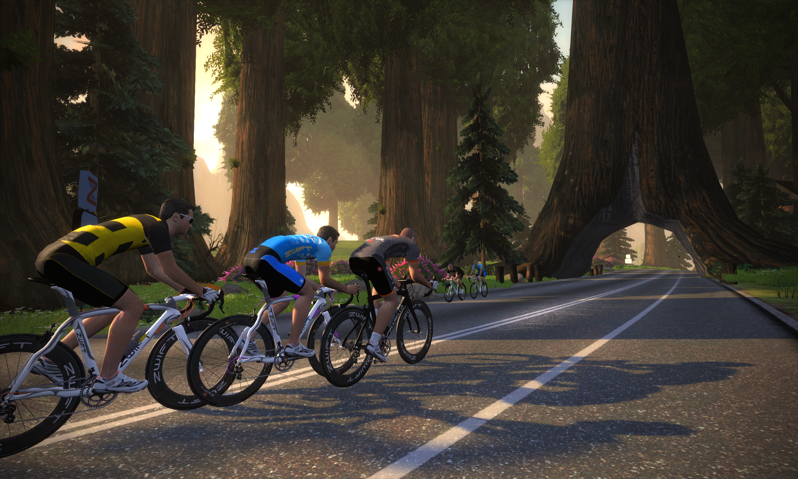 The author can pick out his performance on the list as he cycles at home (E. Medina) joined by other users of ZWIFT as though they are all pedaling on Zwift Island. The game can change the route terrain from hilly to mountainous to flat, from forested to rural.