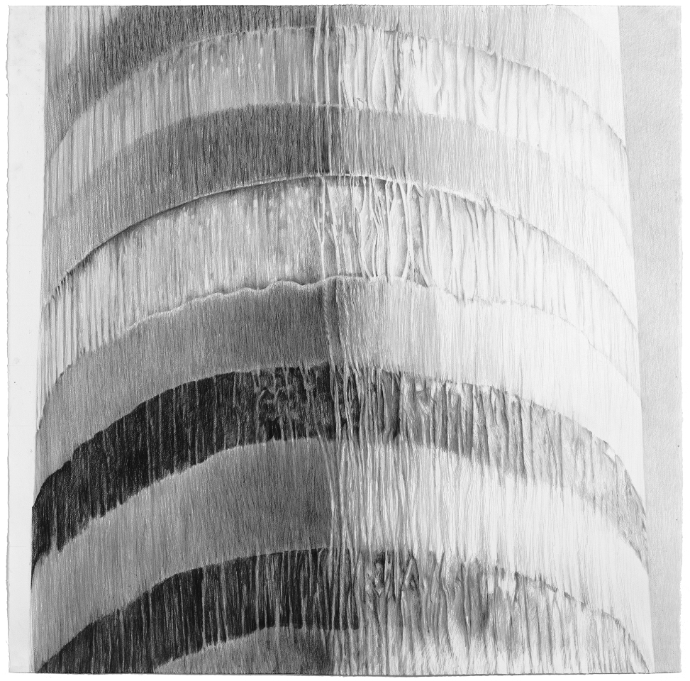 Sandra Allen's "Echelon."