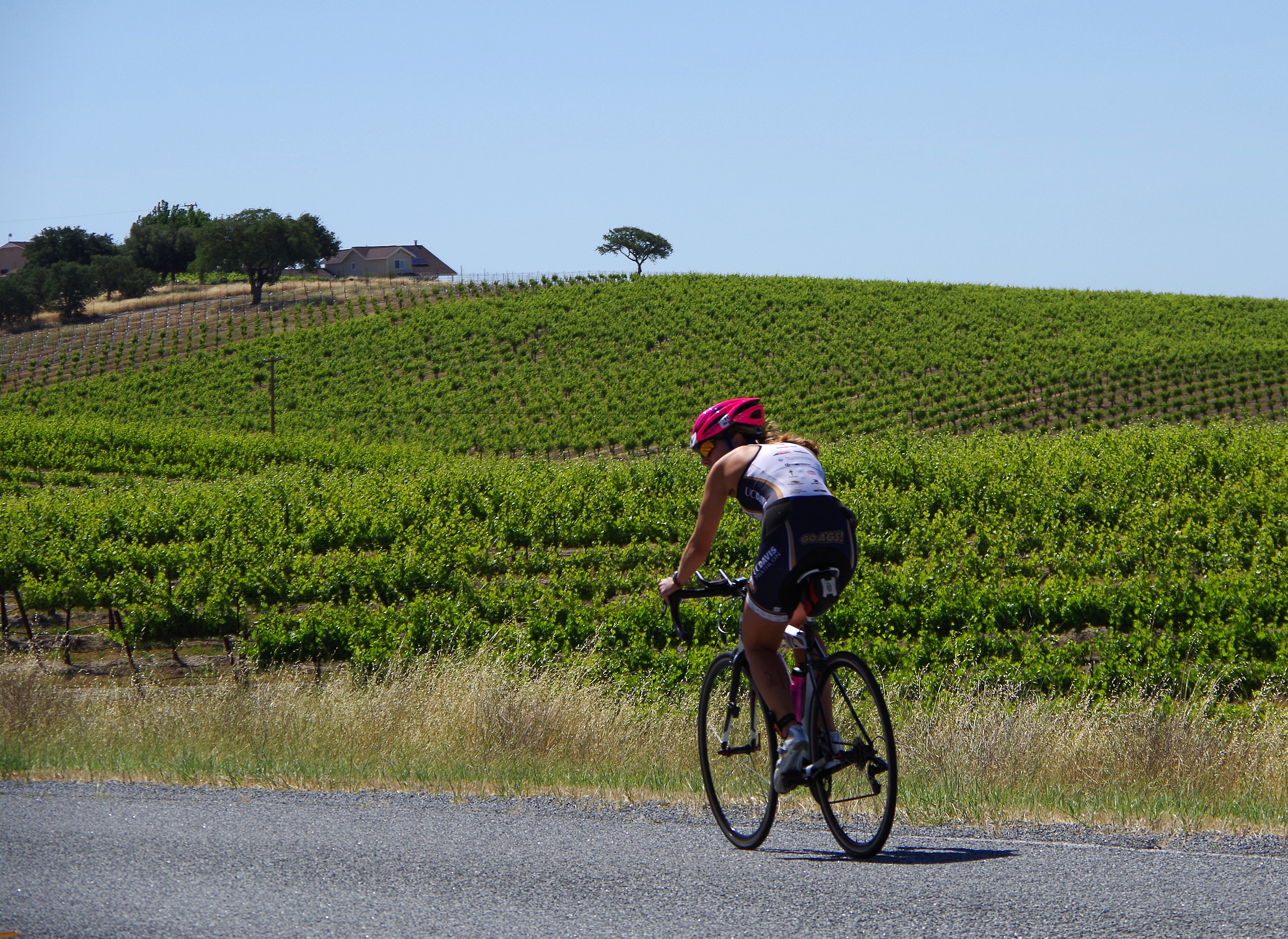 A racer passes by a vineyard during the bike leg of the Wildflower triathlon.