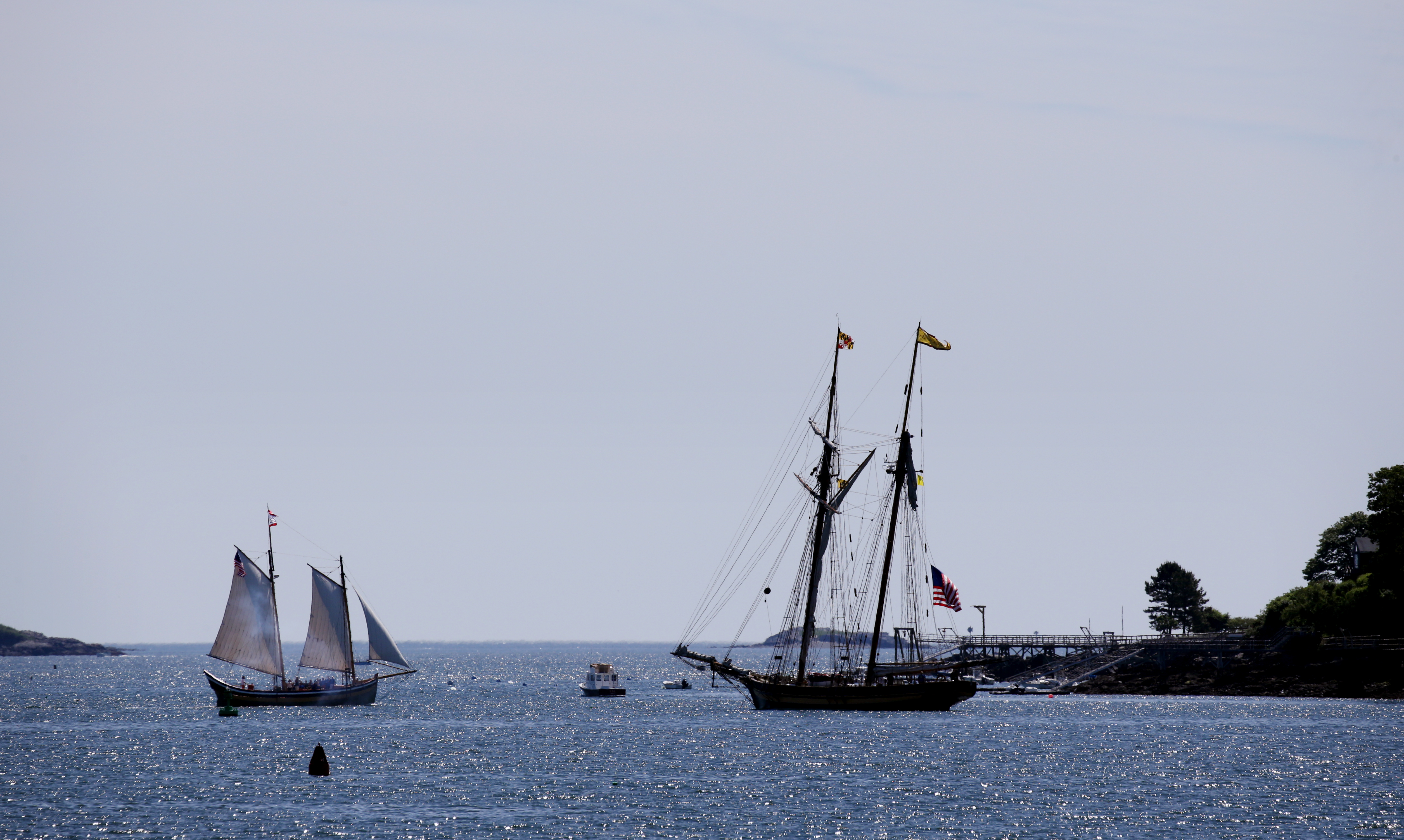 The Fame, left, sailed towards the Pride of Baltimore II in the Salem Harbor in Salem Wednesday.