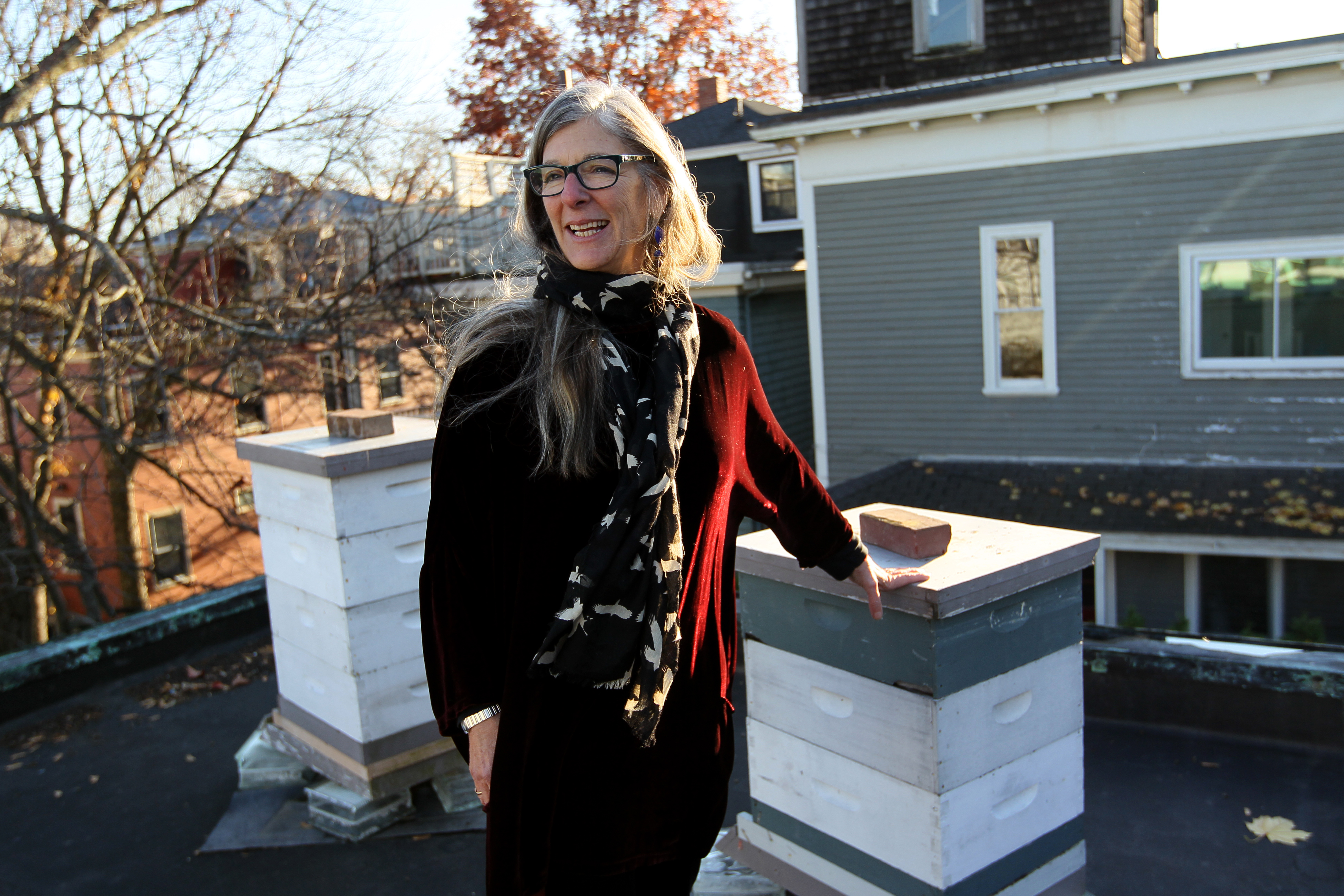 Stern said the bees are educational for the children who attend the school attached to the synagogue and that they provide the congregation with a connection to honey, which has ancient symbolism in Judaism.
