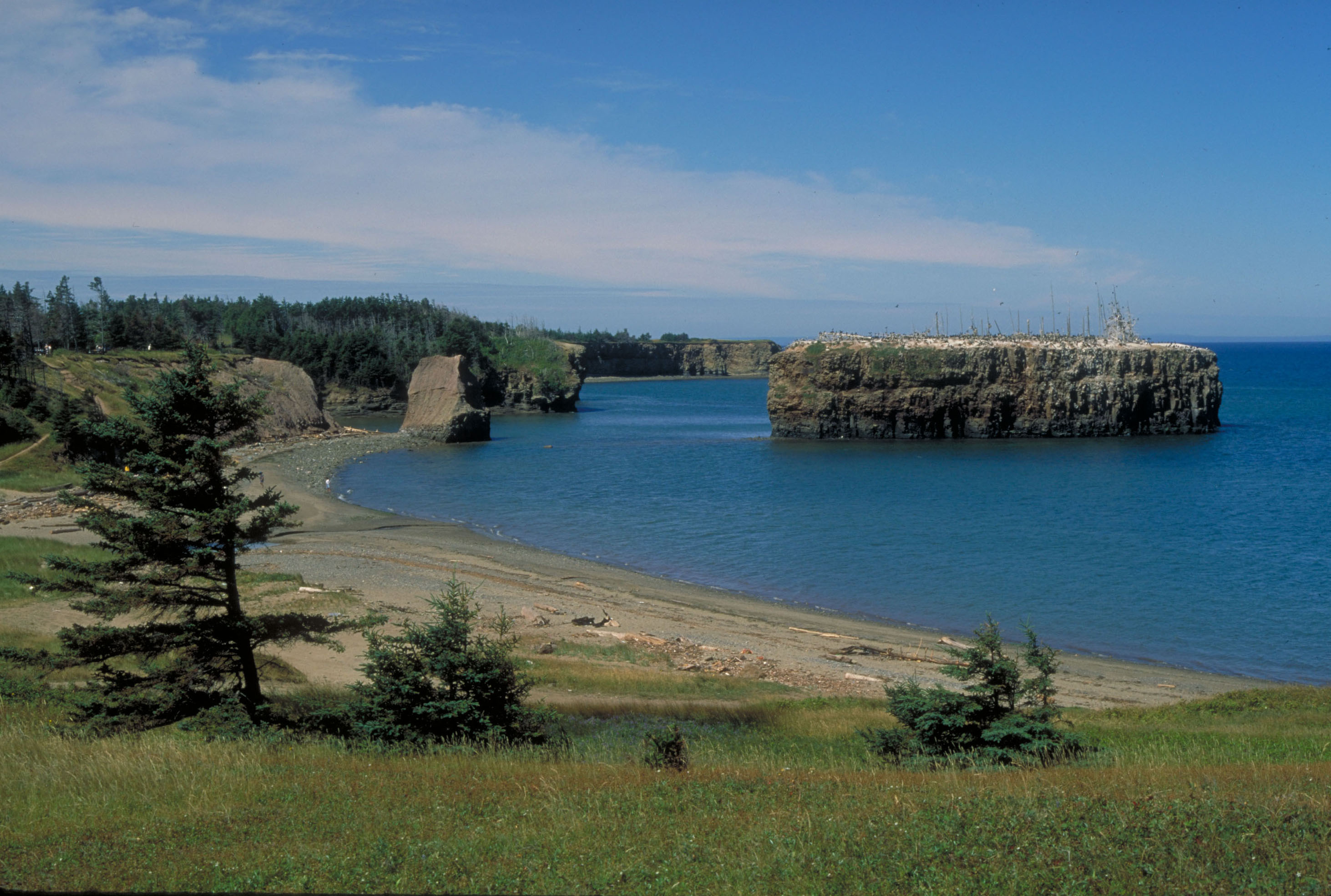 Off Black Rock Beach, a park west of Caraquet, cormorants flock to a huge rock.