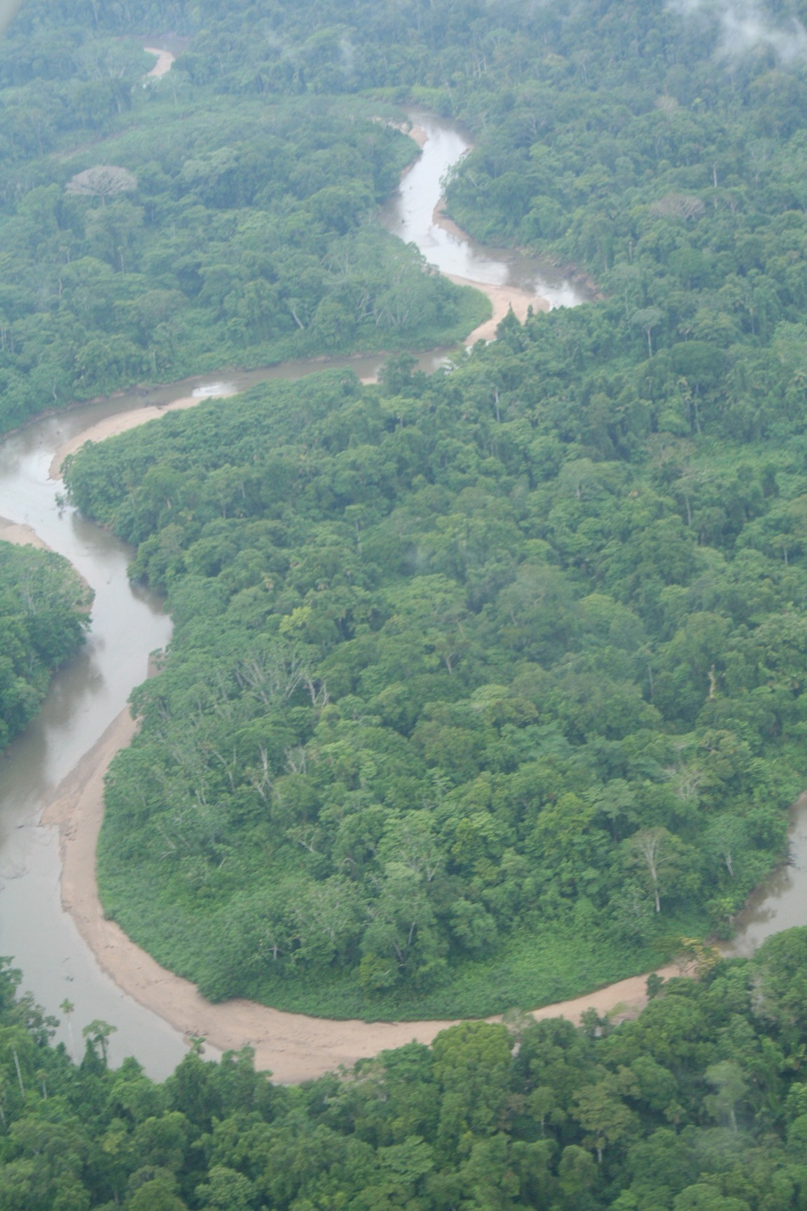 The Amazon as seen from the Plane.