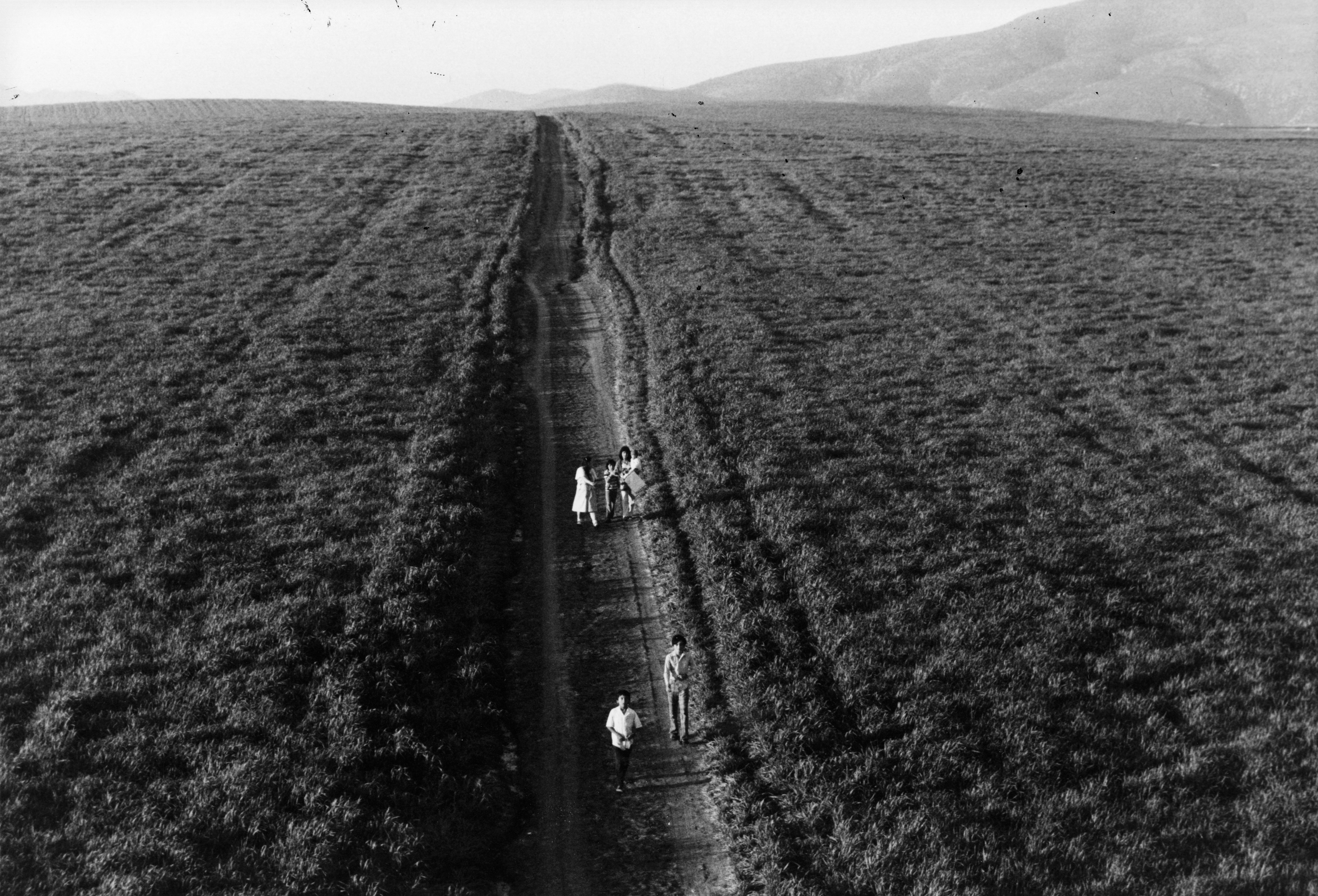 Walking along the road from Mexico into the US.