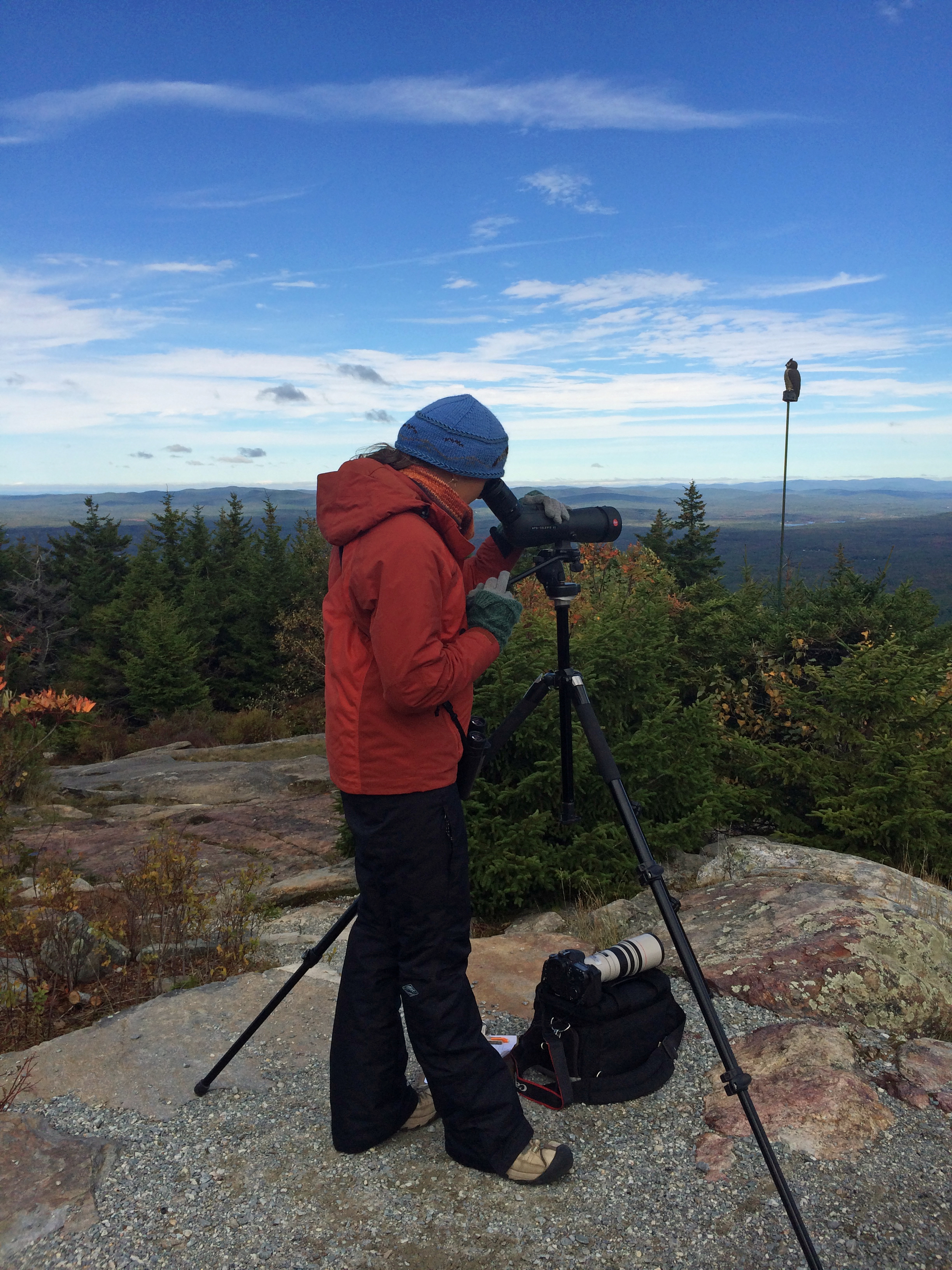 Naturalist Katrina Fenton of New Hampshire Audubon records migrating raptors at Pack Monadnock.