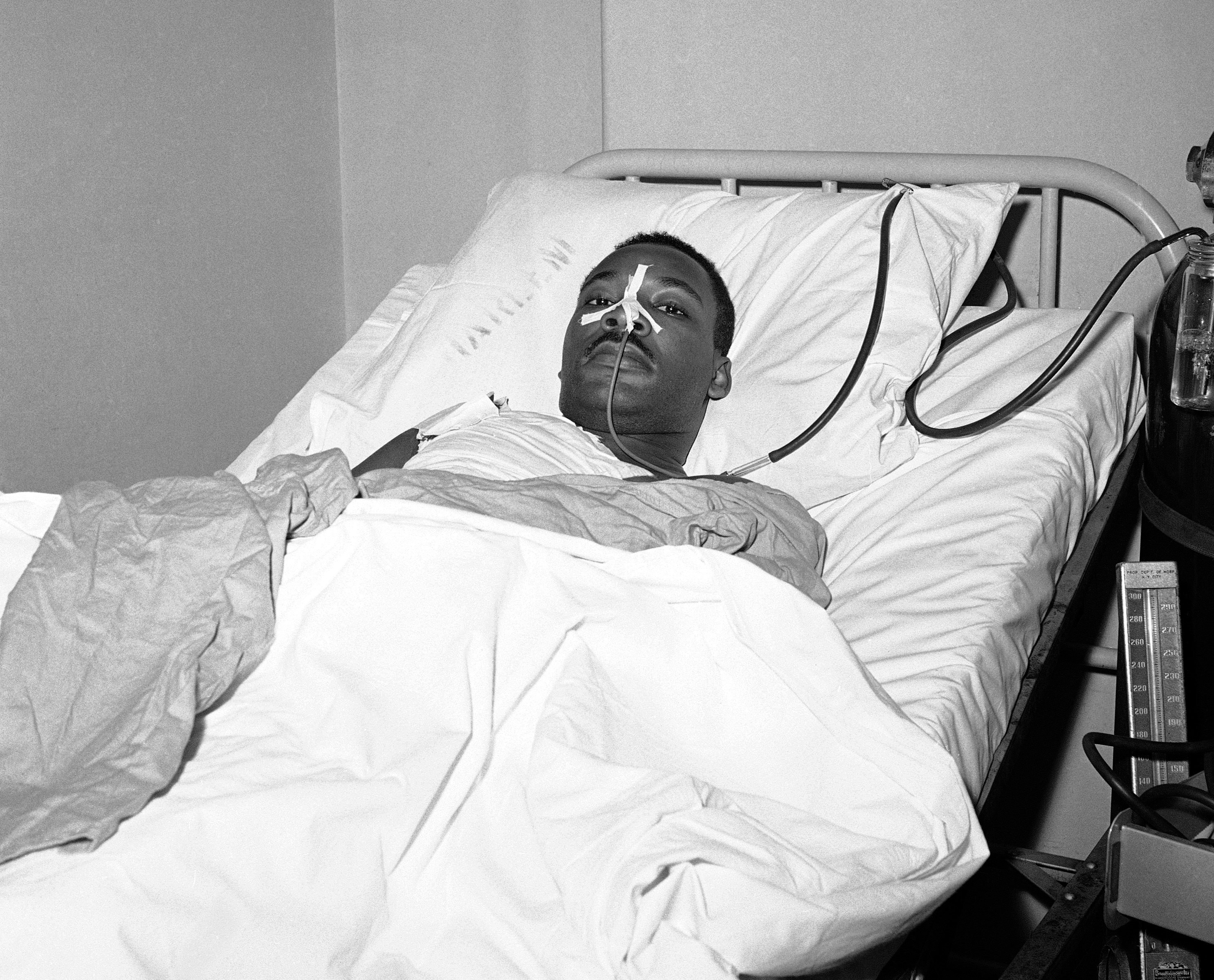 Von Autopsy Photo 39 - ch8xuvi