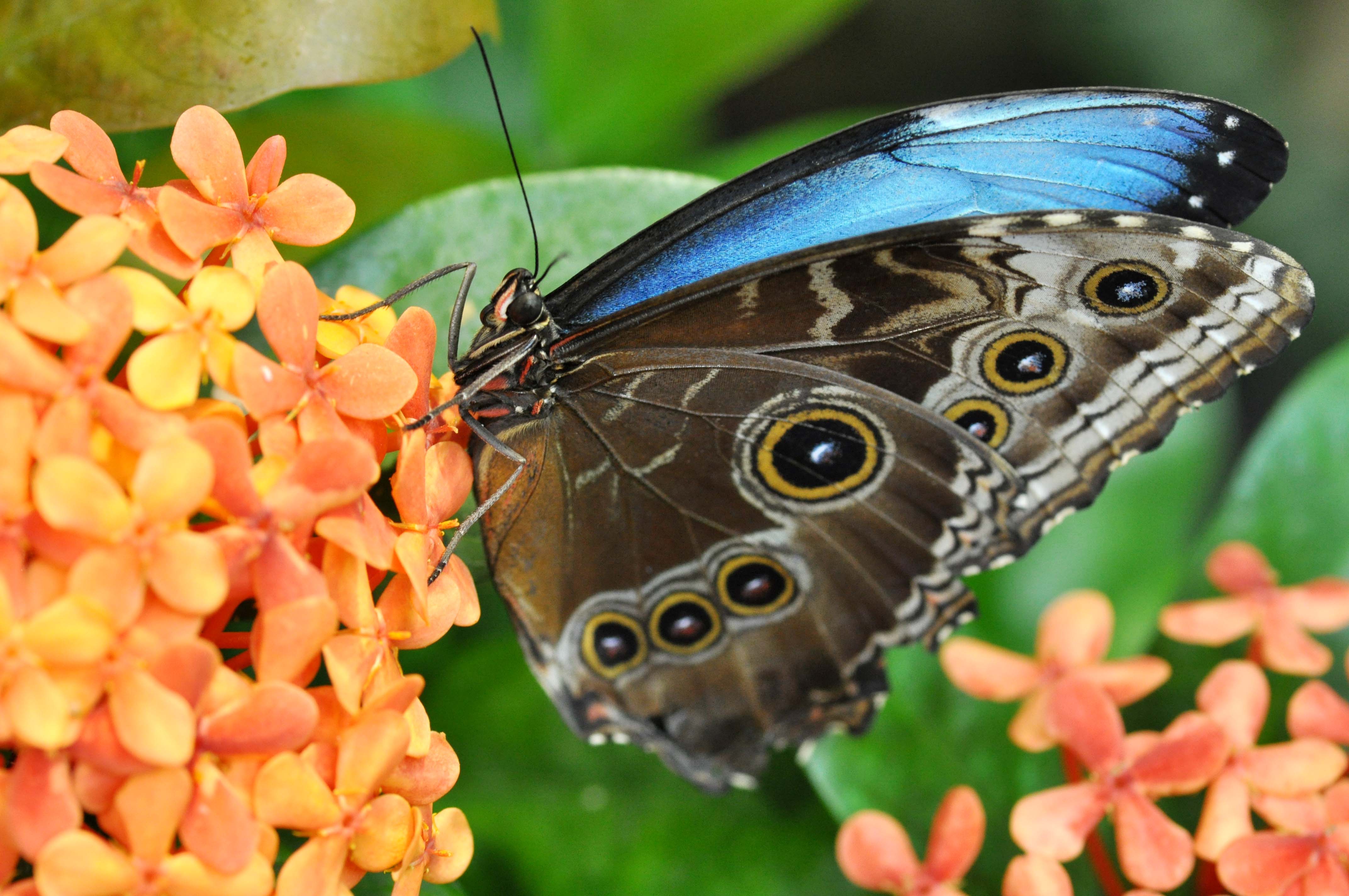Bostonarea museums that are great for kids The Boston Globe