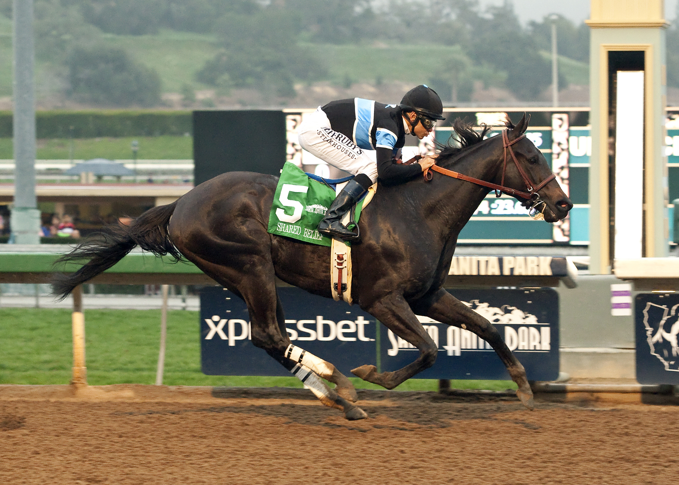 Shared Belief Edges California Chrome At Santa Anita Stakes Race The Shared Belief Edges California Chrome At Santa Anita Stakes Race The