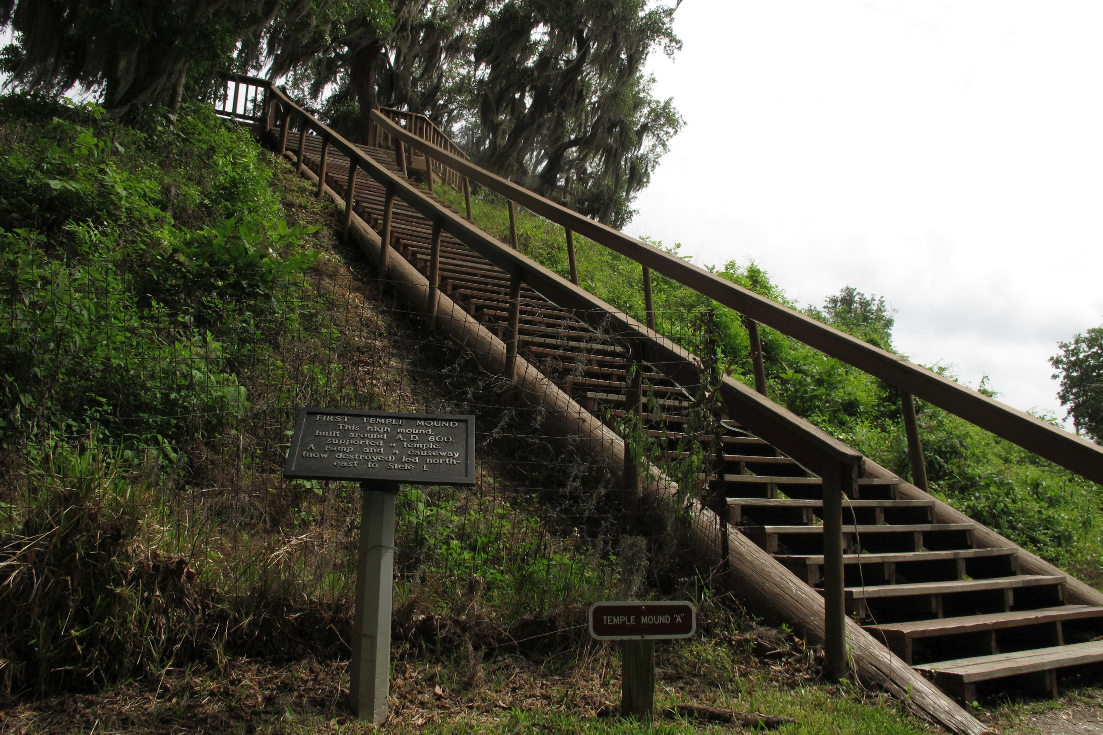 A stairway leads to the top of the highest temple mound at the Crystal River Archaeological State Park.