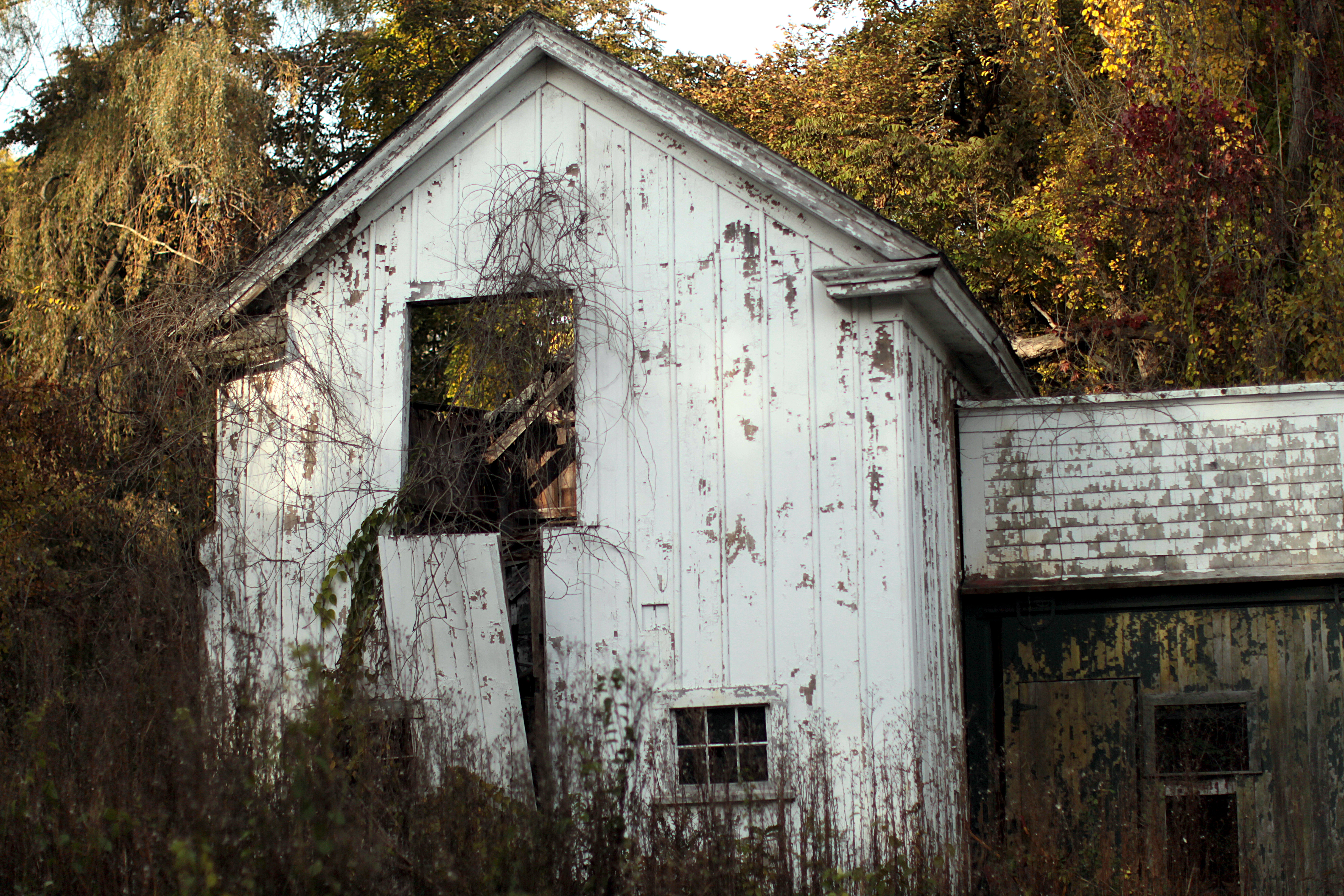 Nobody has lived in the unpretentious colonial-era structure for years.