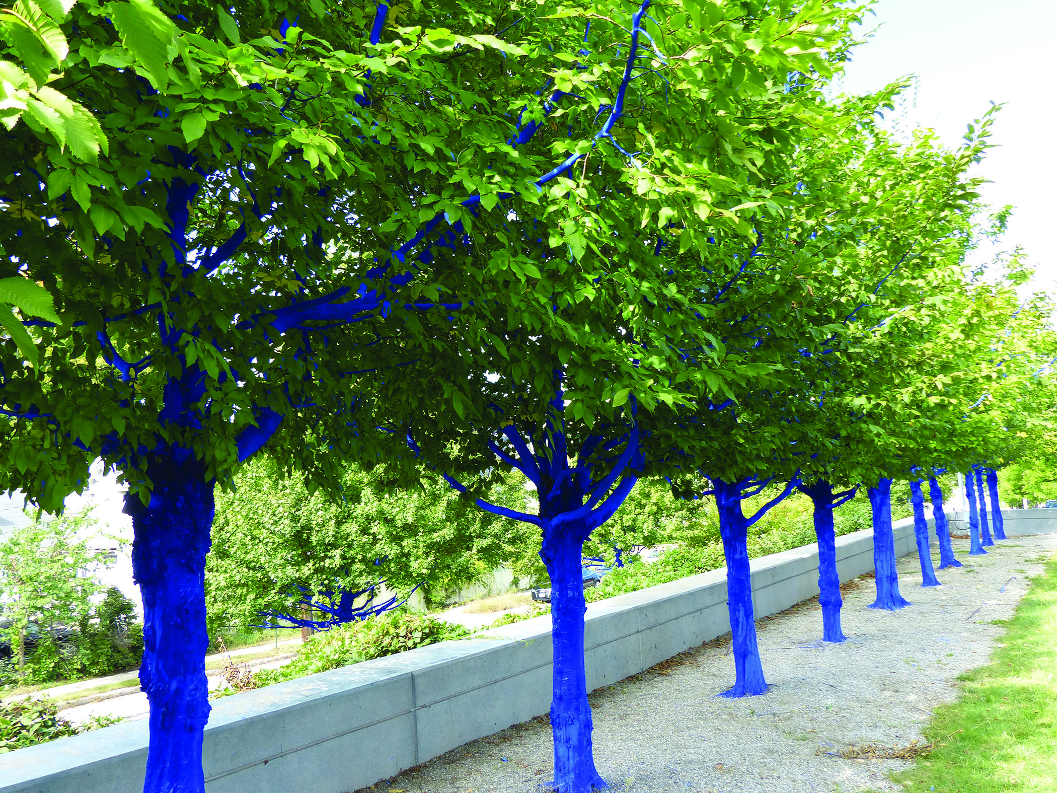 Konstantin Dimopoulos’s “The Blue Trees” at the Currier Museum of Art in Manchester, N.H.