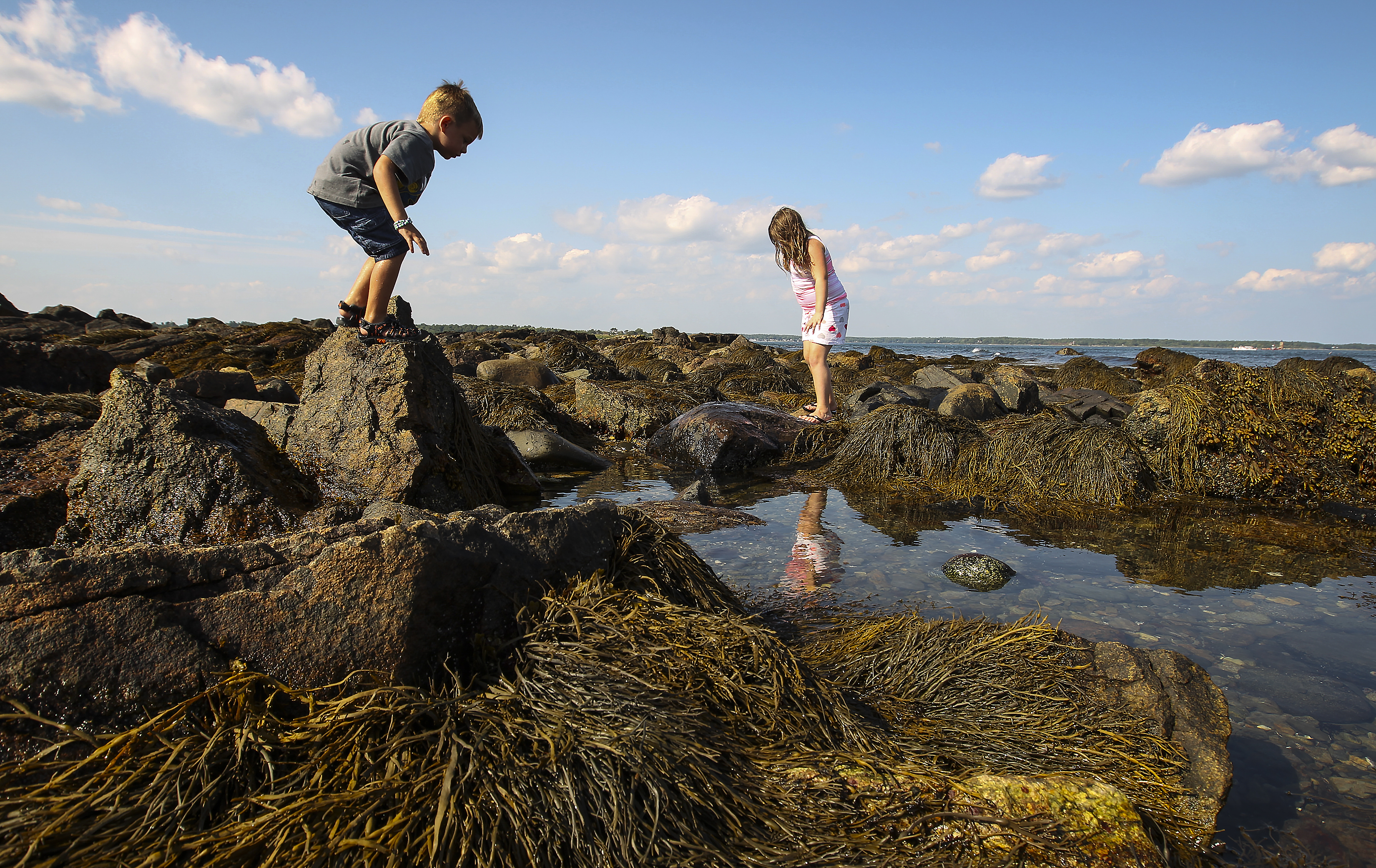 Tide pools at Odiorne Park in Rye, N.H.