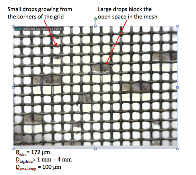 Detail above: Small drops grow from the corners; large drops block the open space in the mesh.