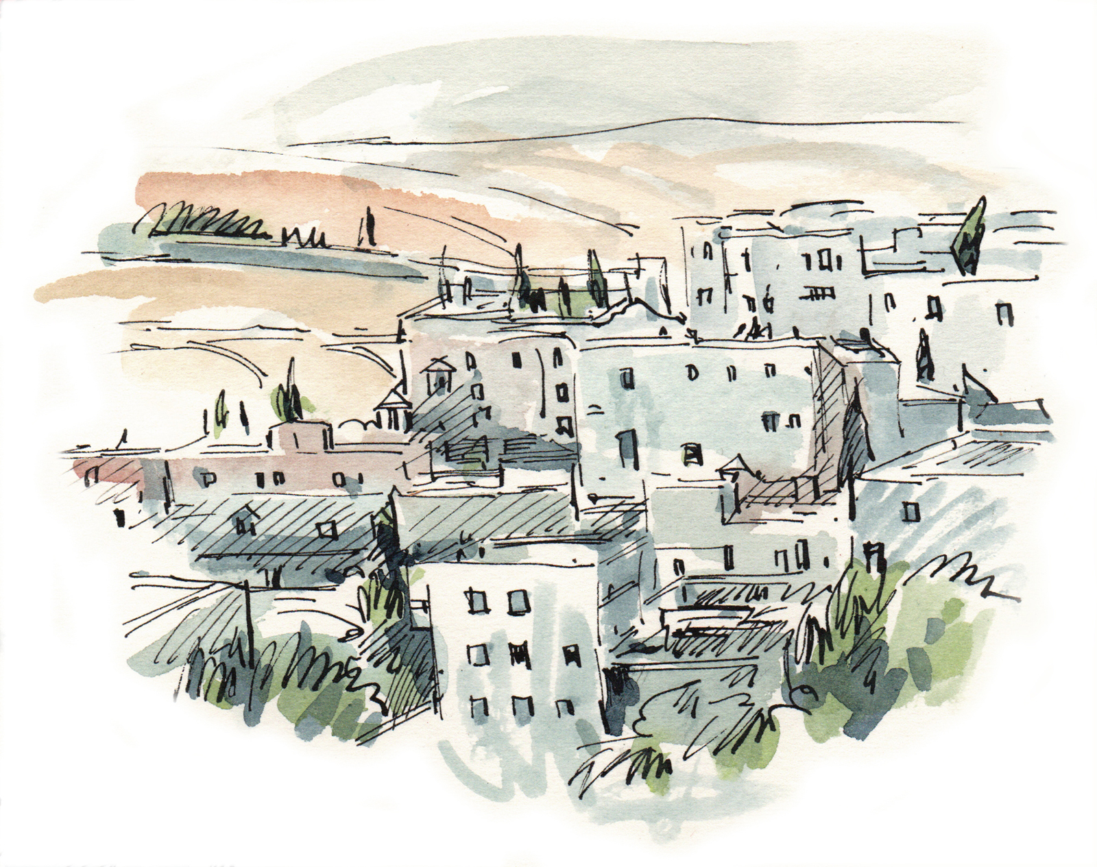 We’re on a mountain in Jerusalem, overlooking the West Bank. Bright white buildings of Ma’ale Adumim, a Jewish settlement city, shine in the distance, next to a stretch of desert.