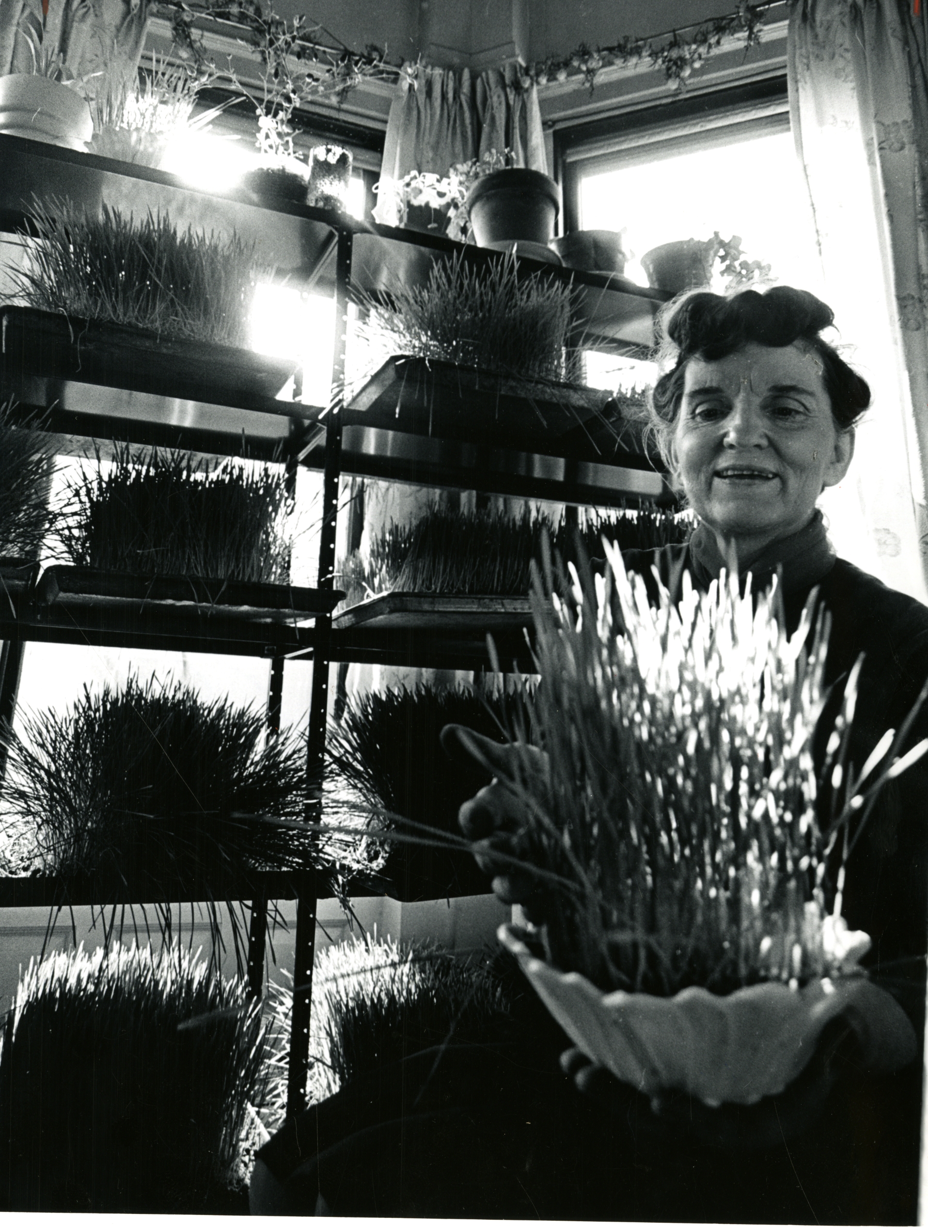 Ann Wigmore concluded that juicing was the best way to ingest wheatgrass.