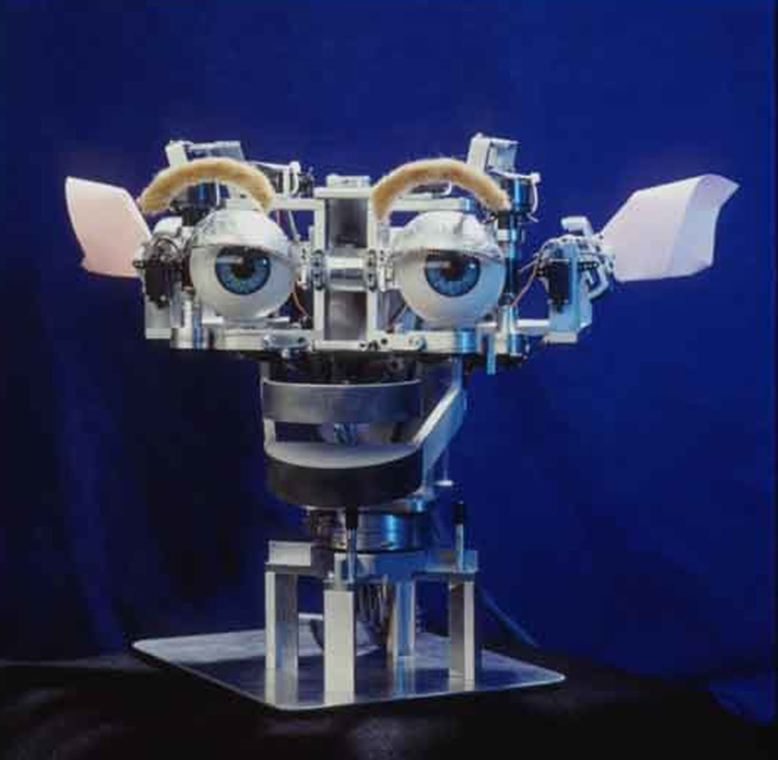 Get some face time with Kismet, the first sociable robot, at the MIT Museum in Cambridge.