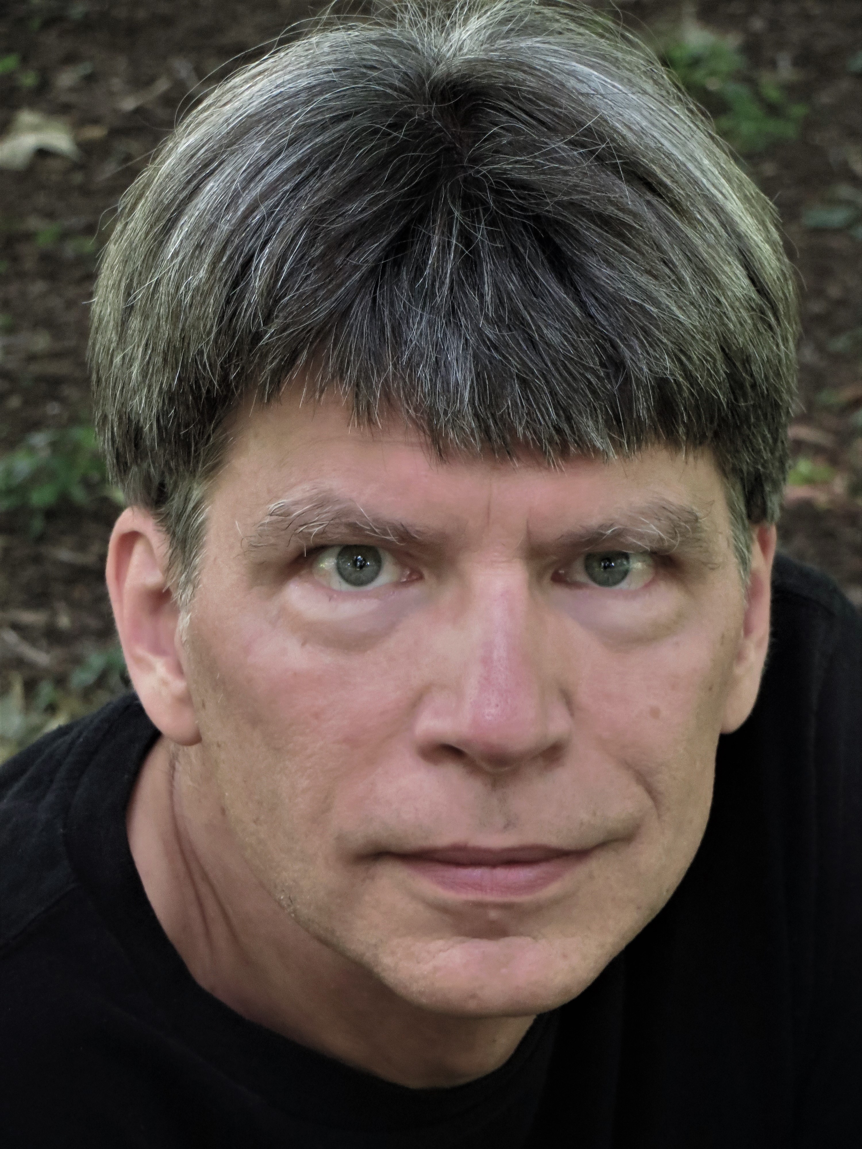 Richard Powers’s novel “The Overstory” helped inspire “A Forest Unfolding.”