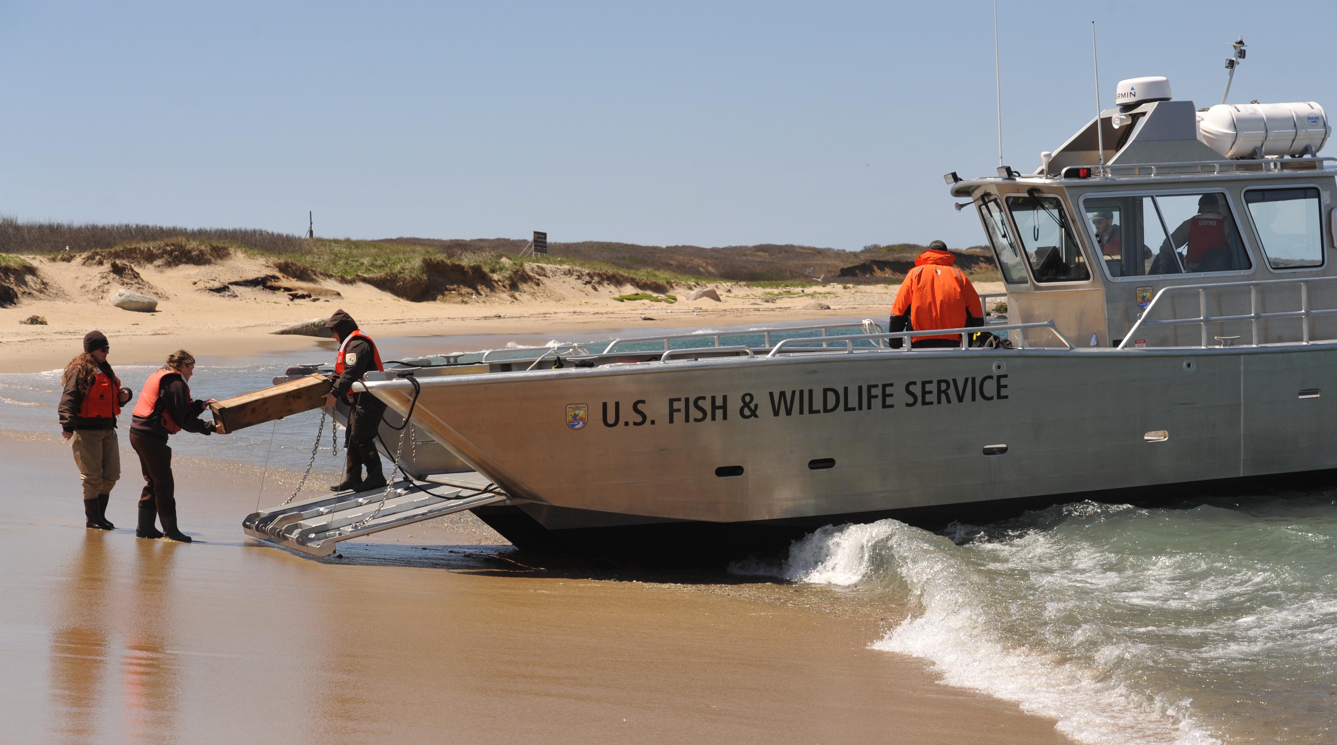 US Fish and Wildlife personnel carried crates of rabbits.