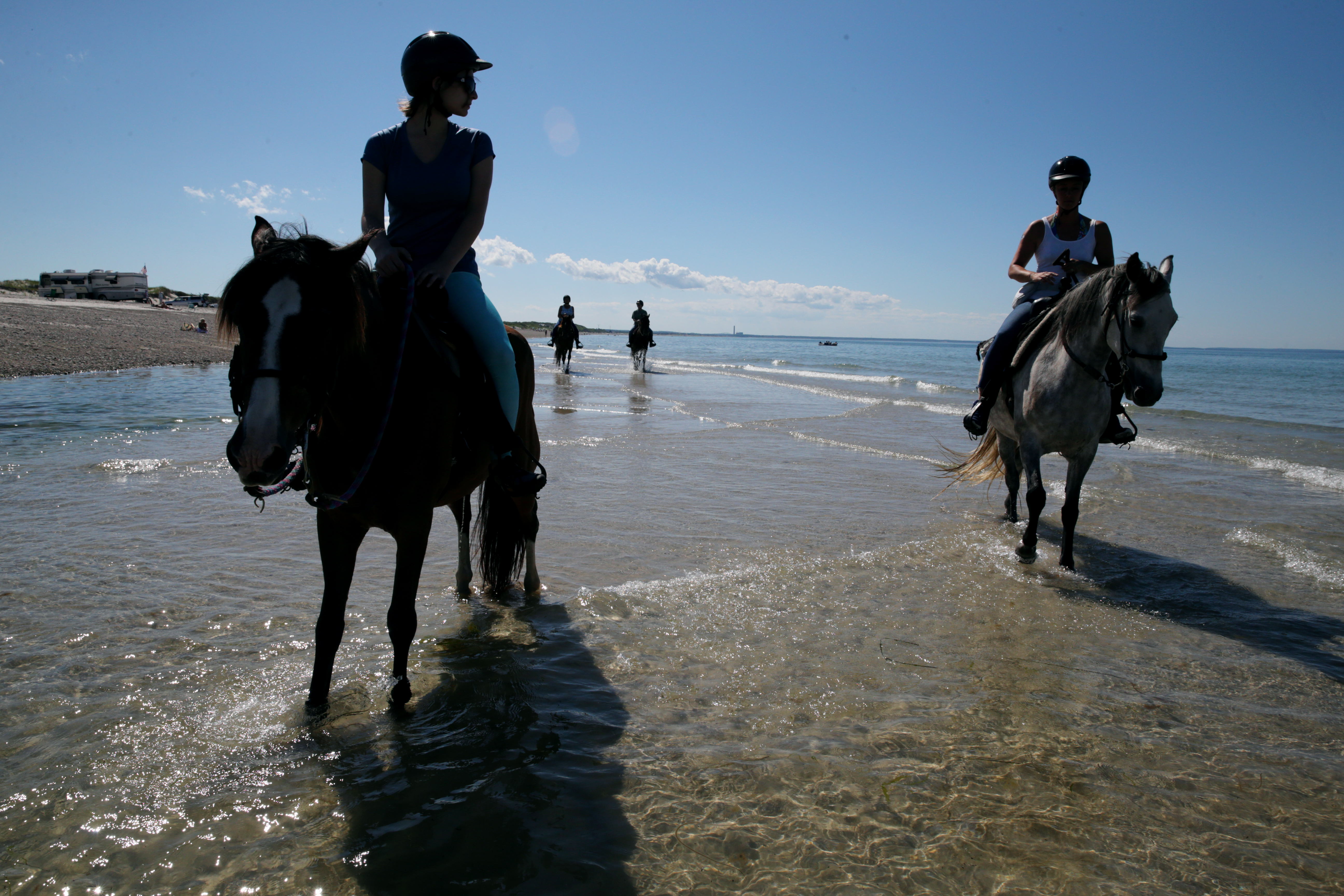 A tour of Sandy Neck Beach in Barnstable led by Esperanza Riding Company.