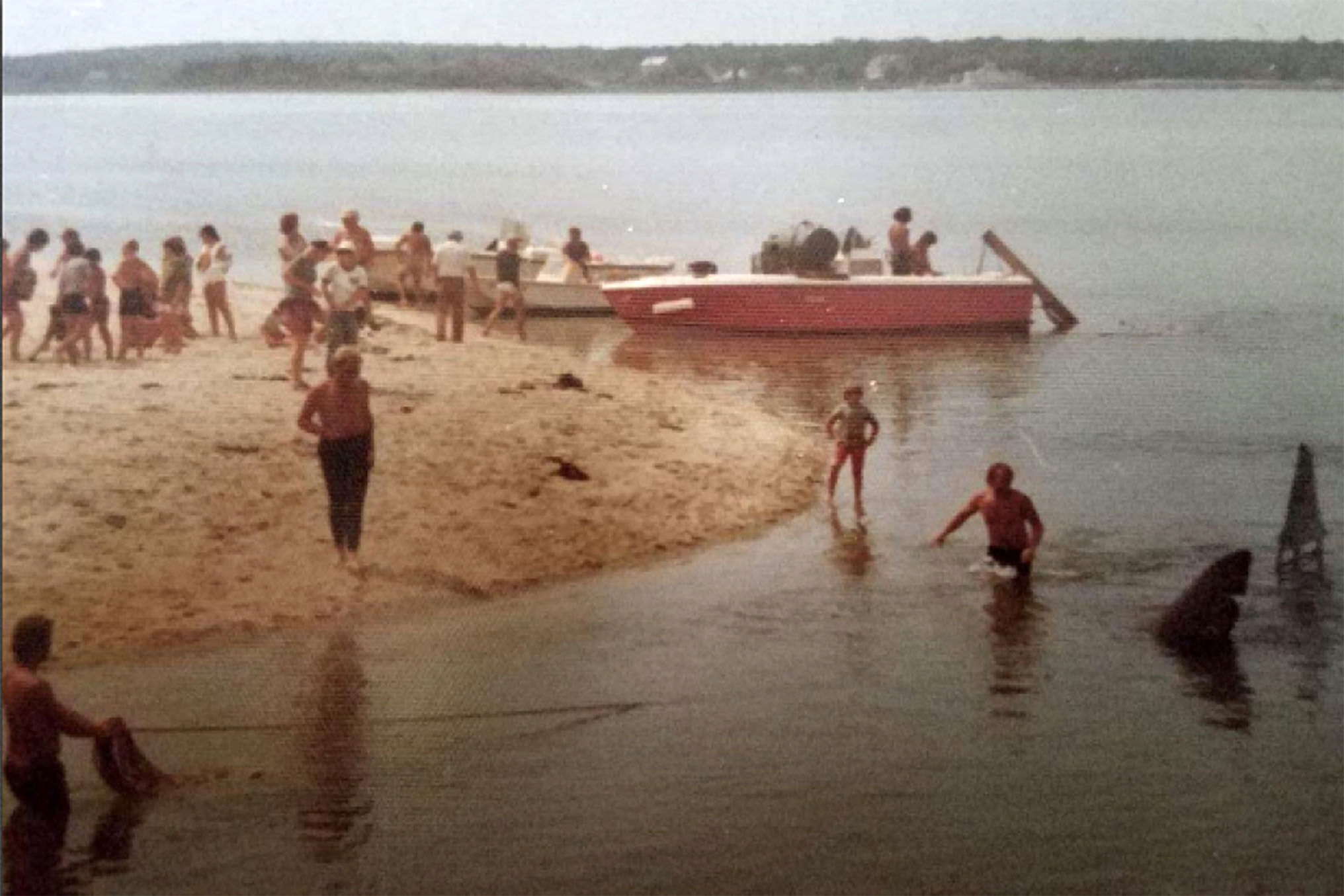 A photo from the “Jaws” set.