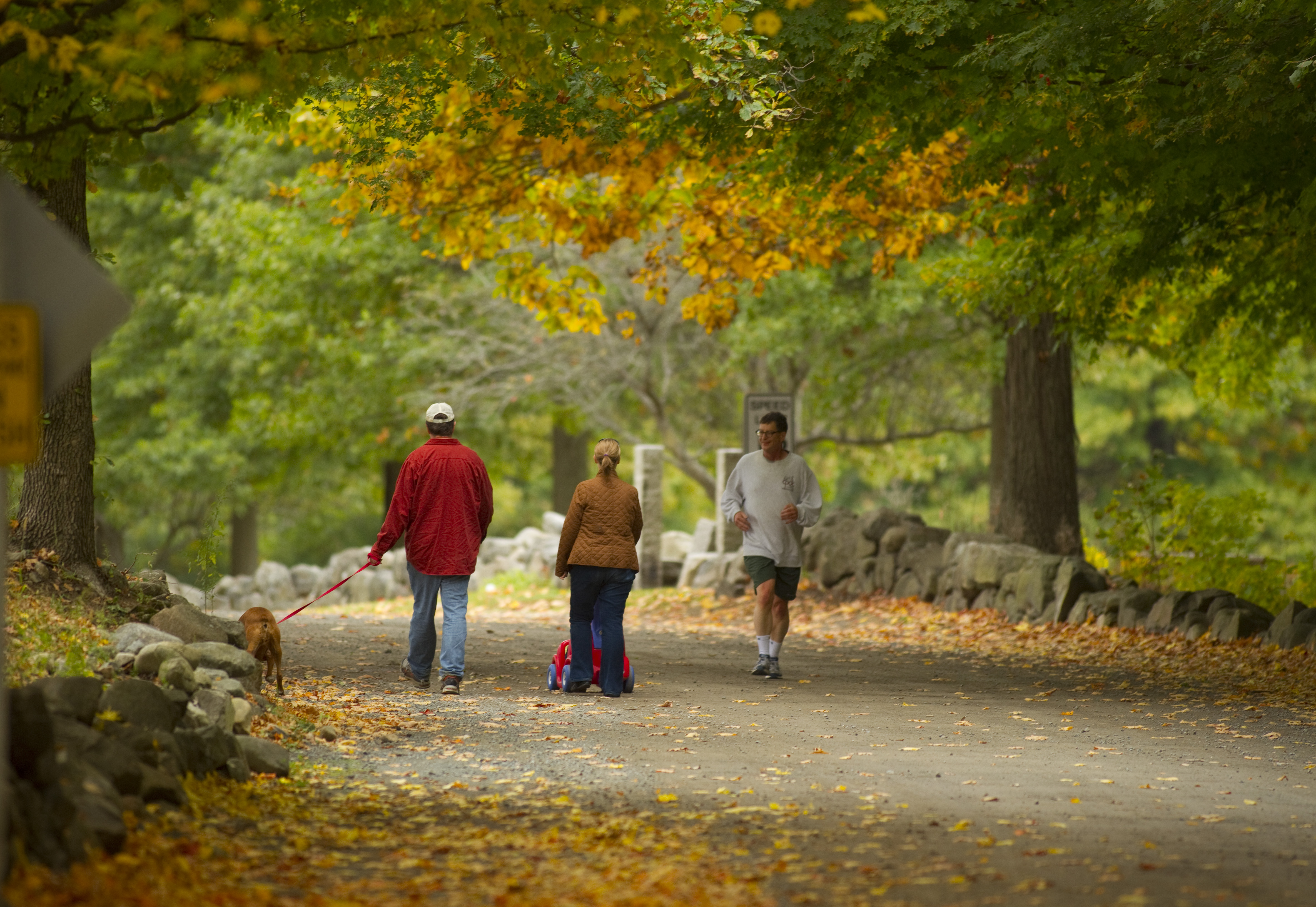 Walkers and runners enjoyed the lush fall scenery near Endicott Park.