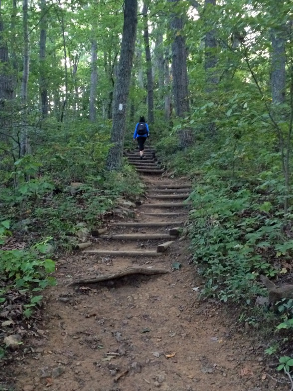 “It is not a nature walk,” says Nadine Mazzola, a certified forest therapy guide.