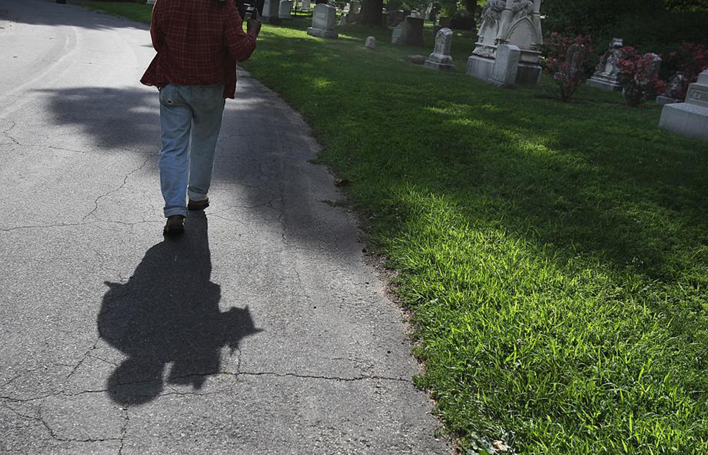 Mighty craves solitude at the cemetery, uninterrupted by birders peering through binoculars or tourists studying maps of the labyrinthine paths.
