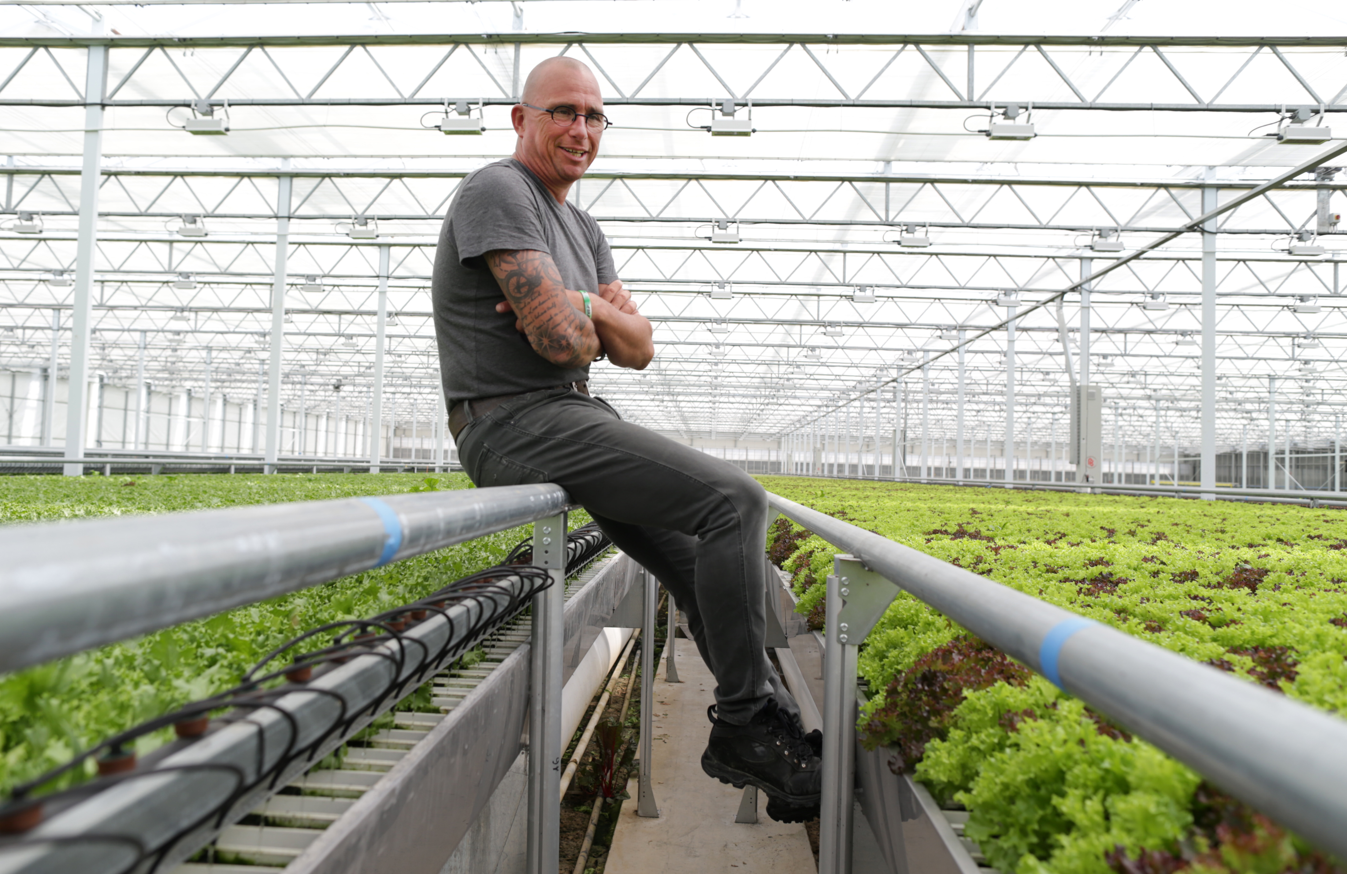 He's spent most of his life perfecting lettuce - The Boston Globe