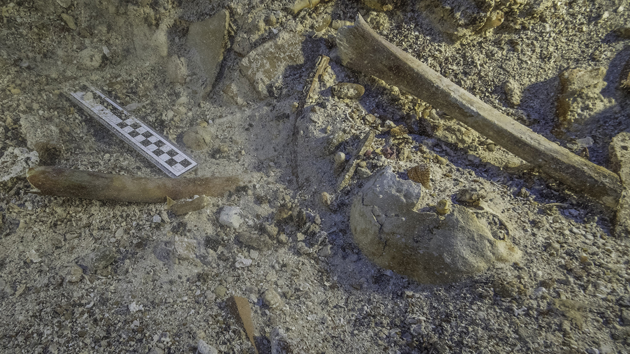 The bone and other remains of the body were found aboard a ship from 65 B.C.