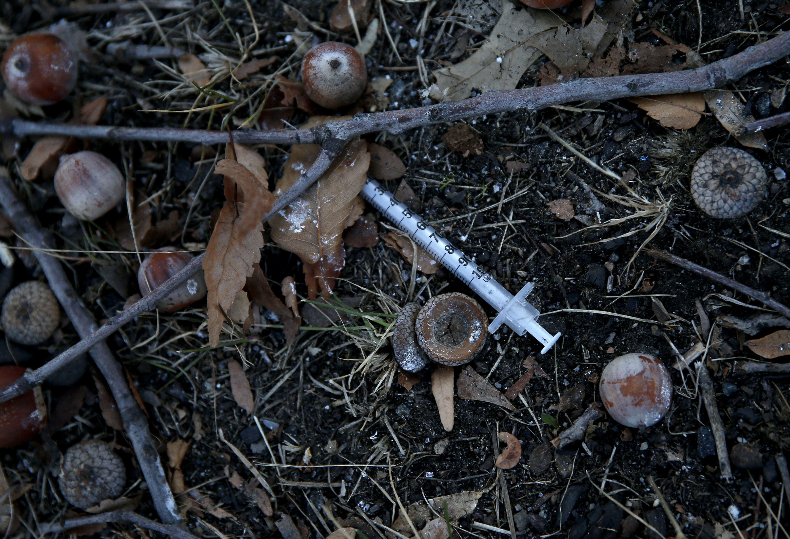 A discarded needle was in the grass near the sidewalk outside of Orchard Gardens K-8 School.