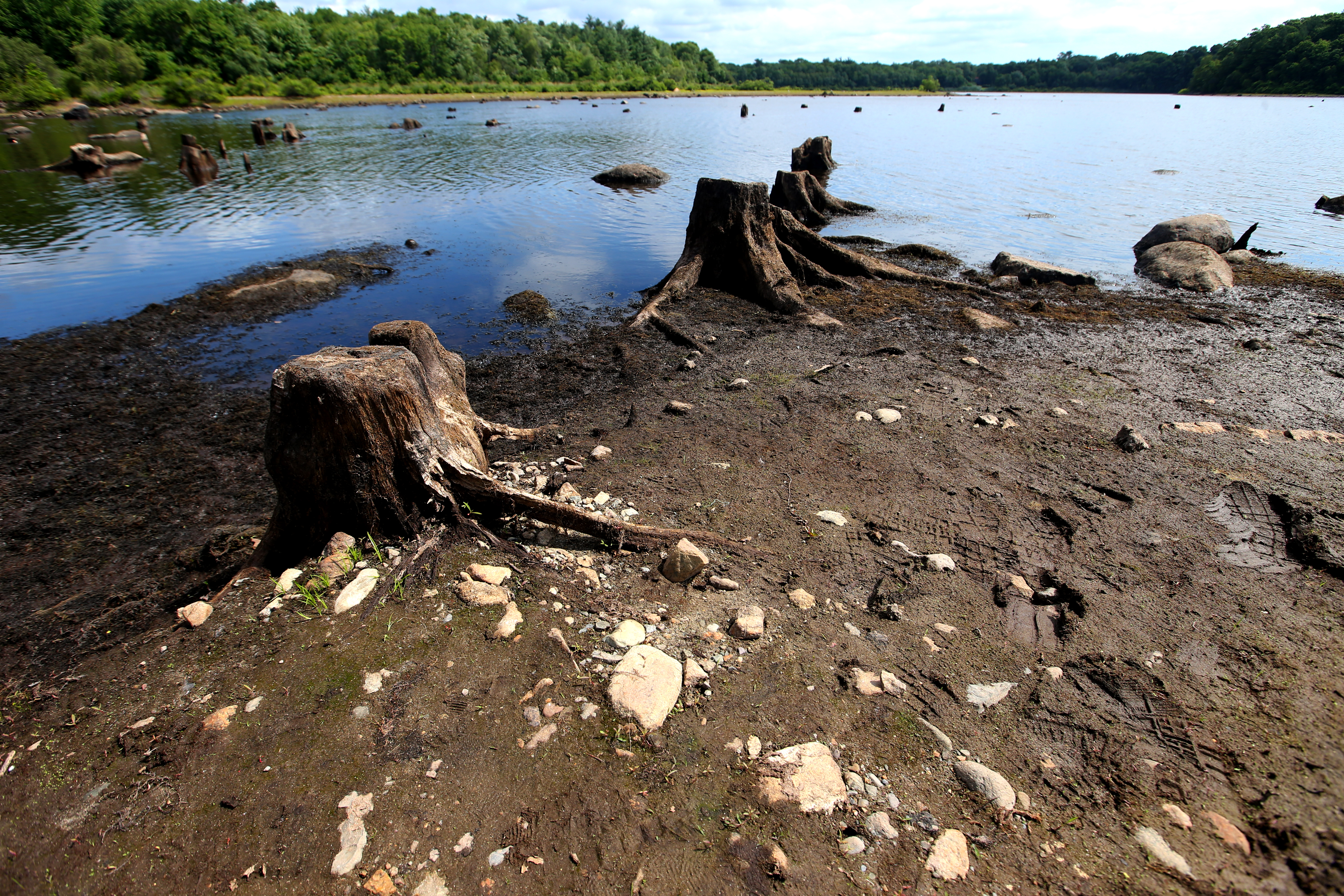 Scituate town reservoir is about half full. It is considered full when it contains 155 million gallons of water.
