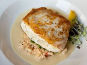 Pan Roasted Halibut is served at the newly renovated Forum Bar and Restaurant in Boston.