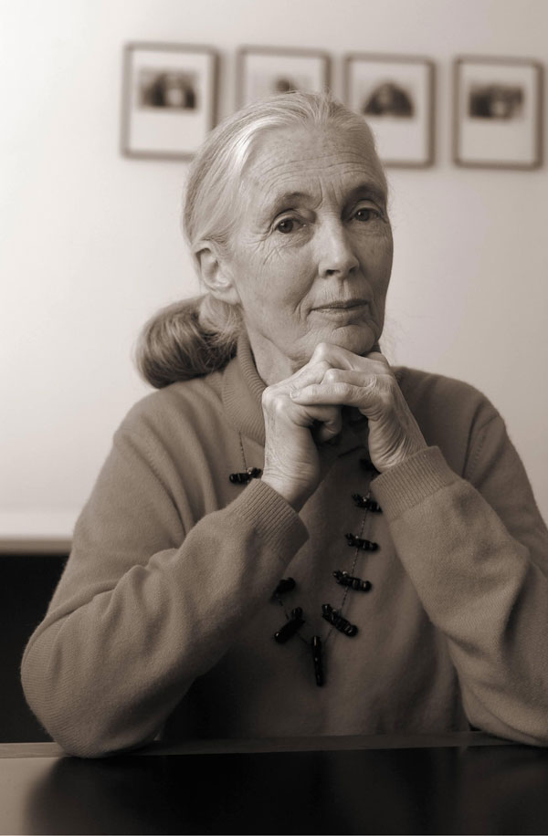 Jane Goodall blends reminiscence, natural history, and a plea on behalf of the natural world.