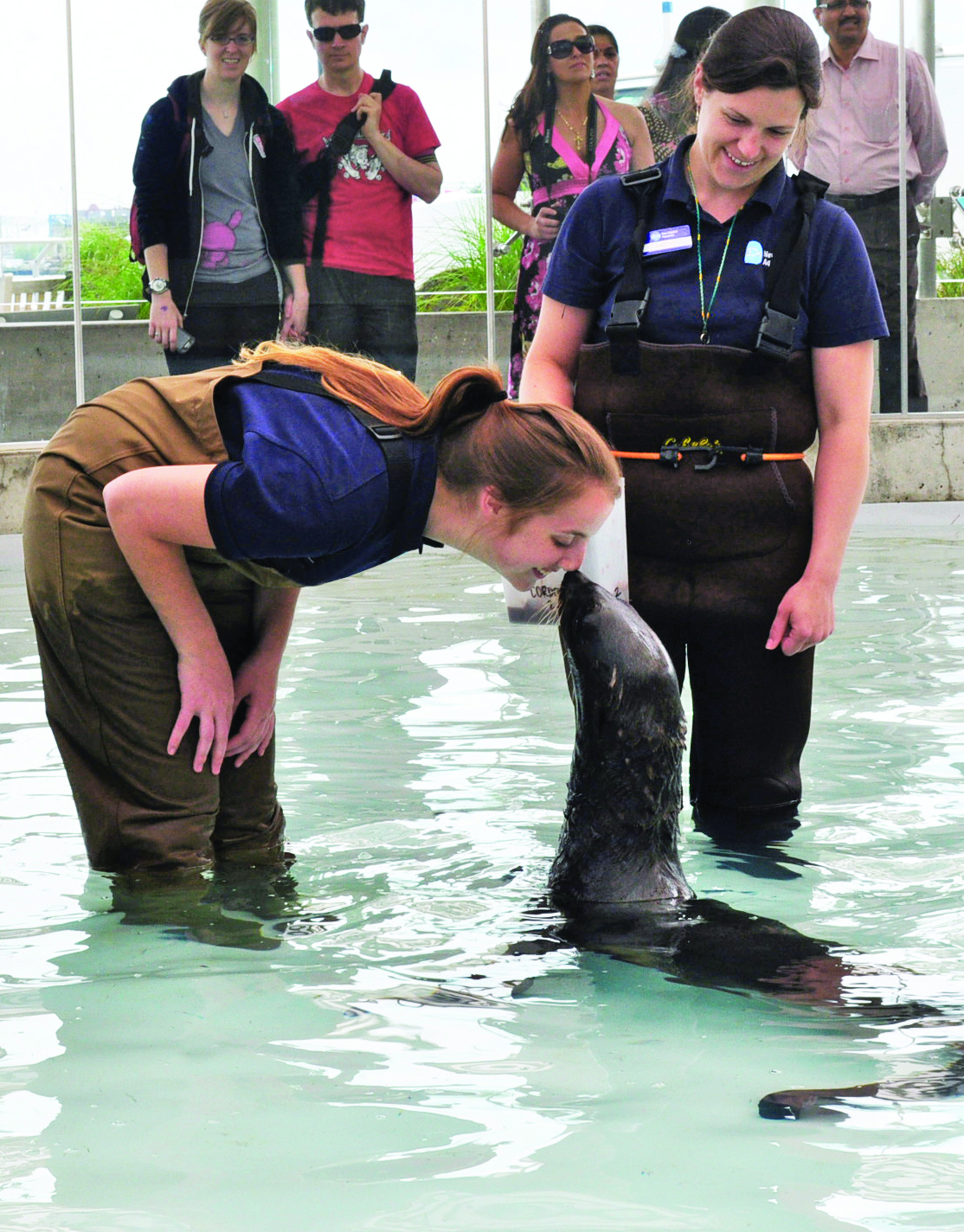 Getting up-close with seals is among the programs the aquarium is launching this summer giving visitors a hands-on experience for an additional cost.