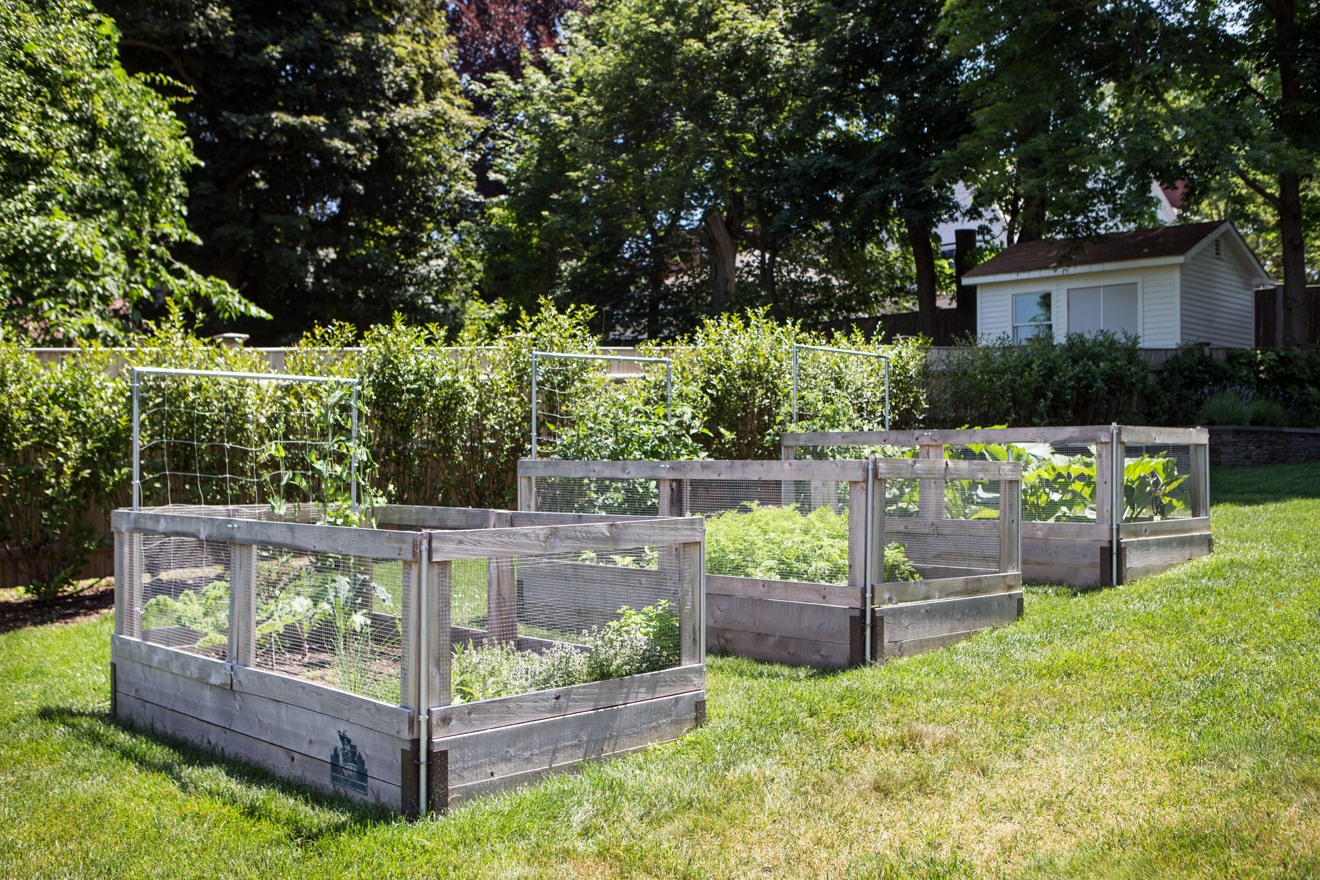 Green City Growers of Somerville installed three raised gardens in the backyard of Daniela Winston's Newton home.