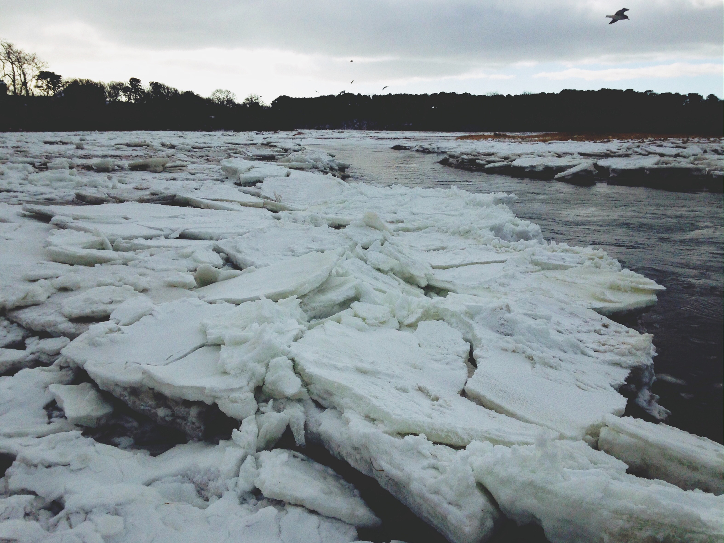 Paine's Creek beach in Brewster on Monday.