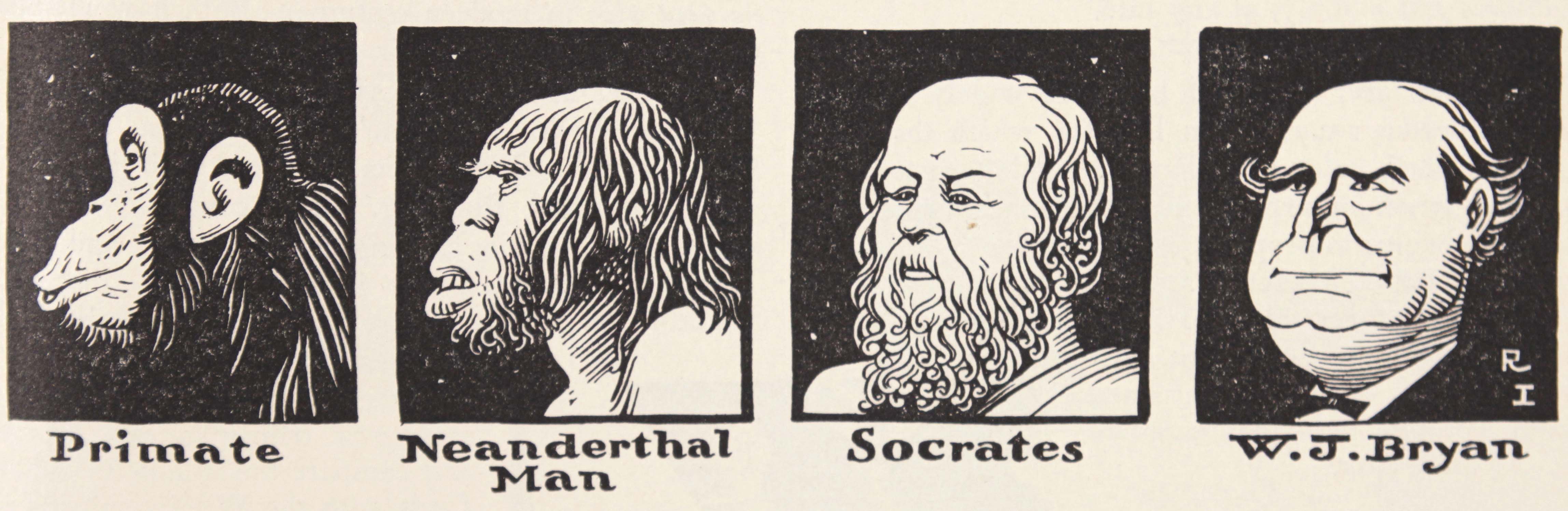 “The Rise and Fall of Man”