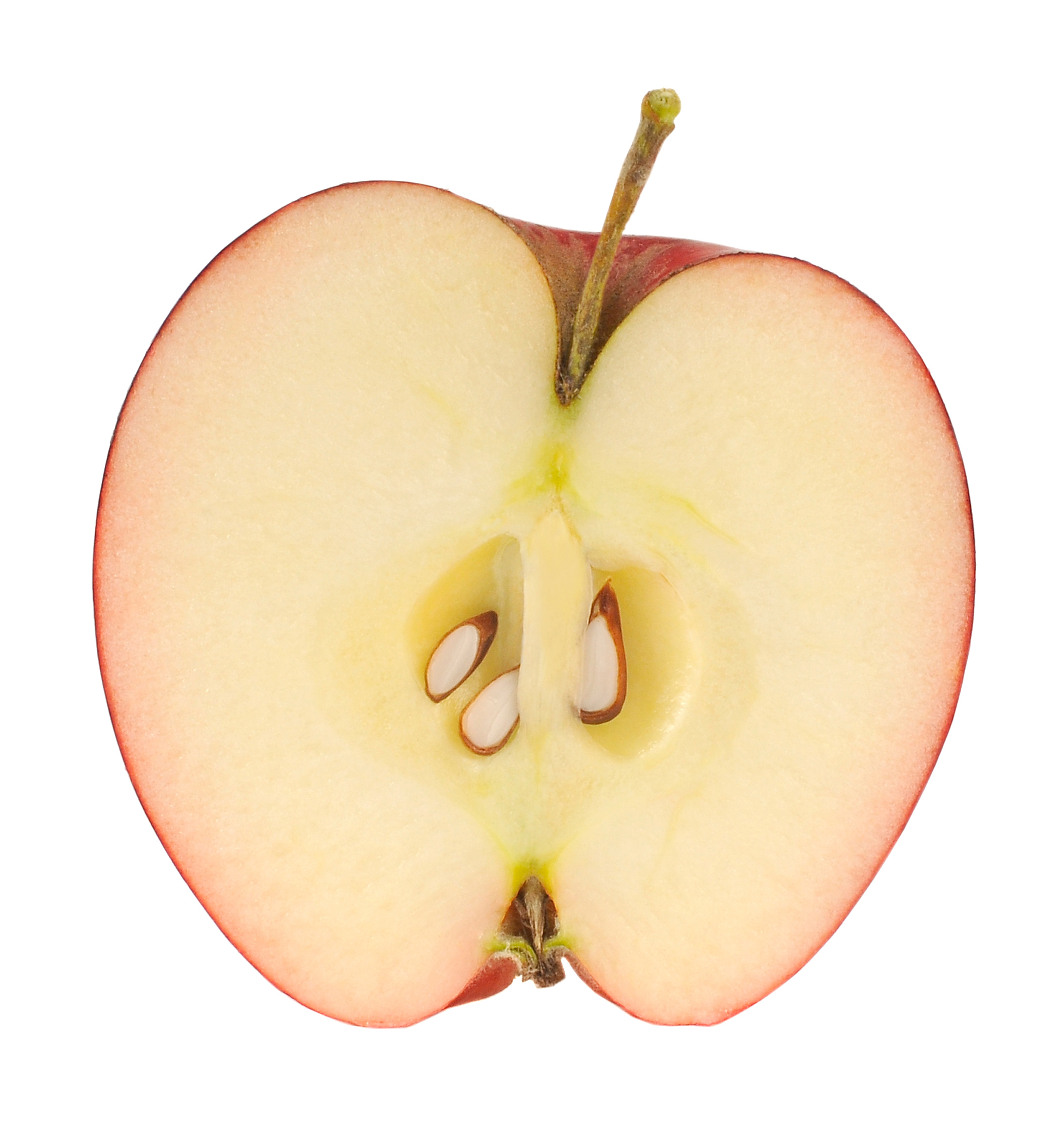There are 84 pick-your-own apple orchards in Massachusetts.