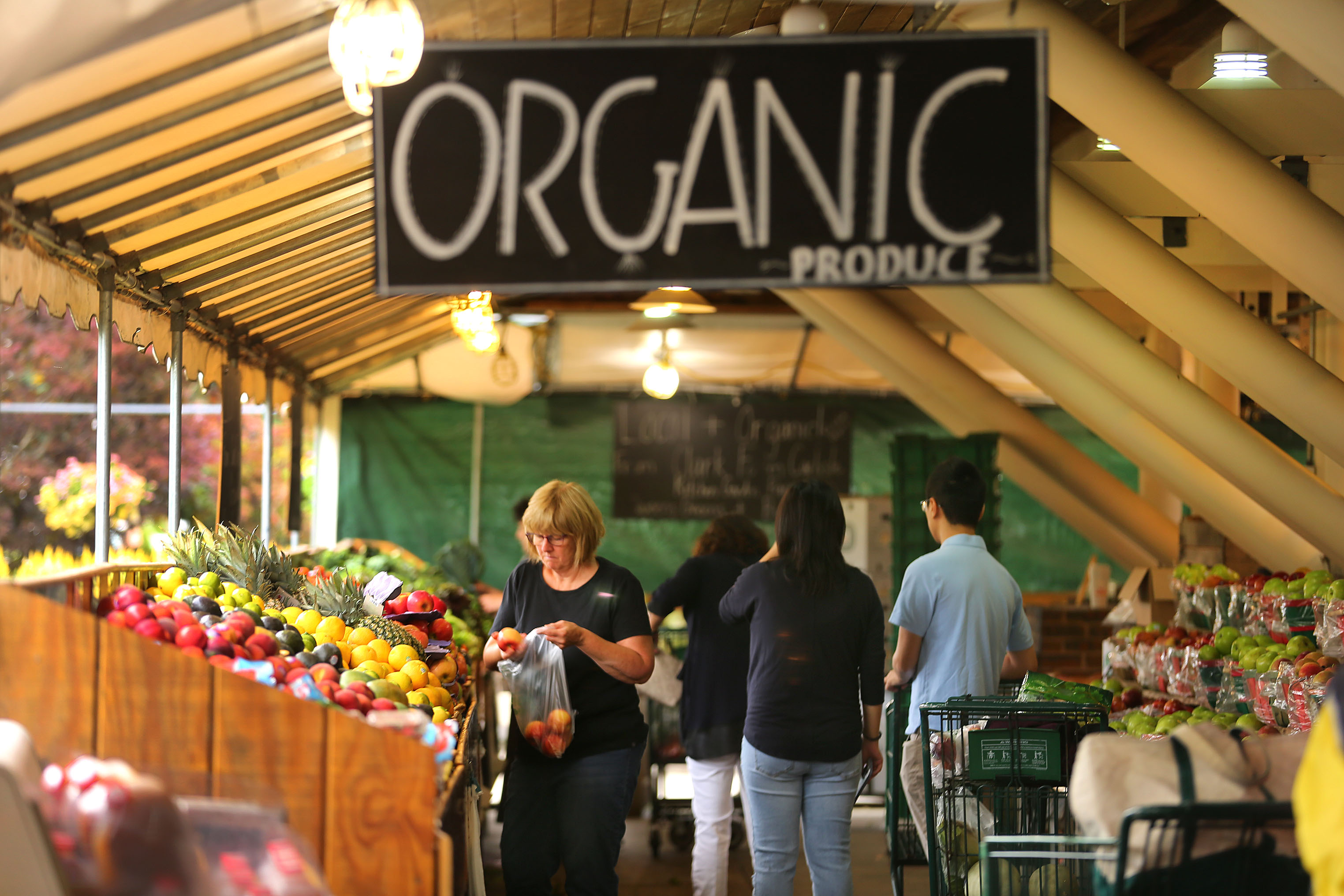 A customer picks some organic fruit at Russo’s.
