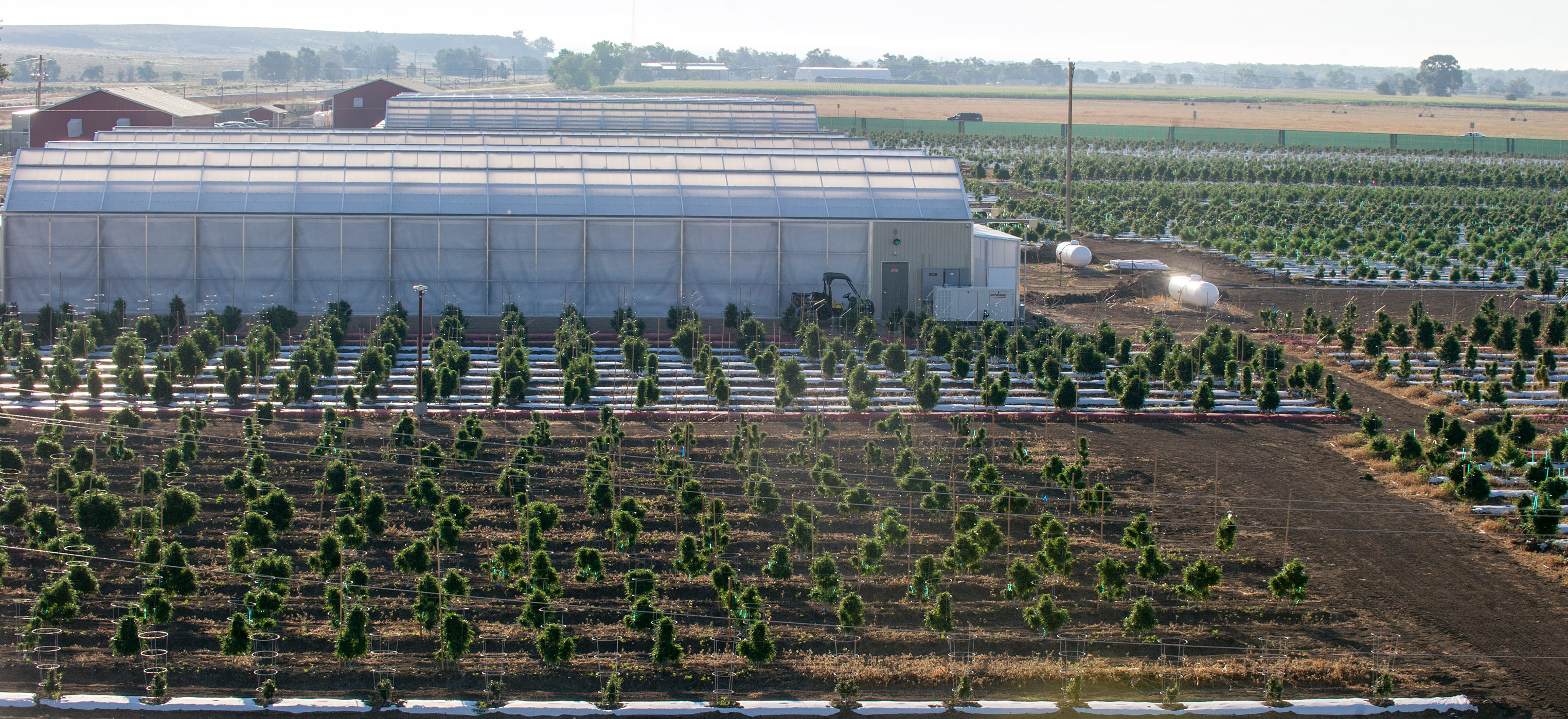 Los Sueños Farms is one of several marijuana-growing facilities that have sprung up in Pueblo County since legalization was approved statewide in Colorado in 2012.