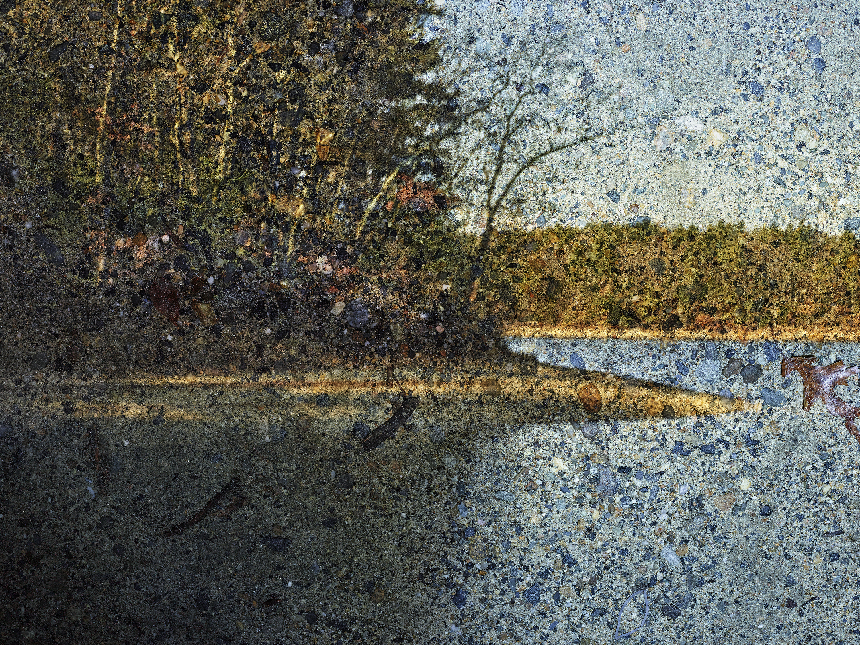 “Walden: Pond/Tent Camera Image”