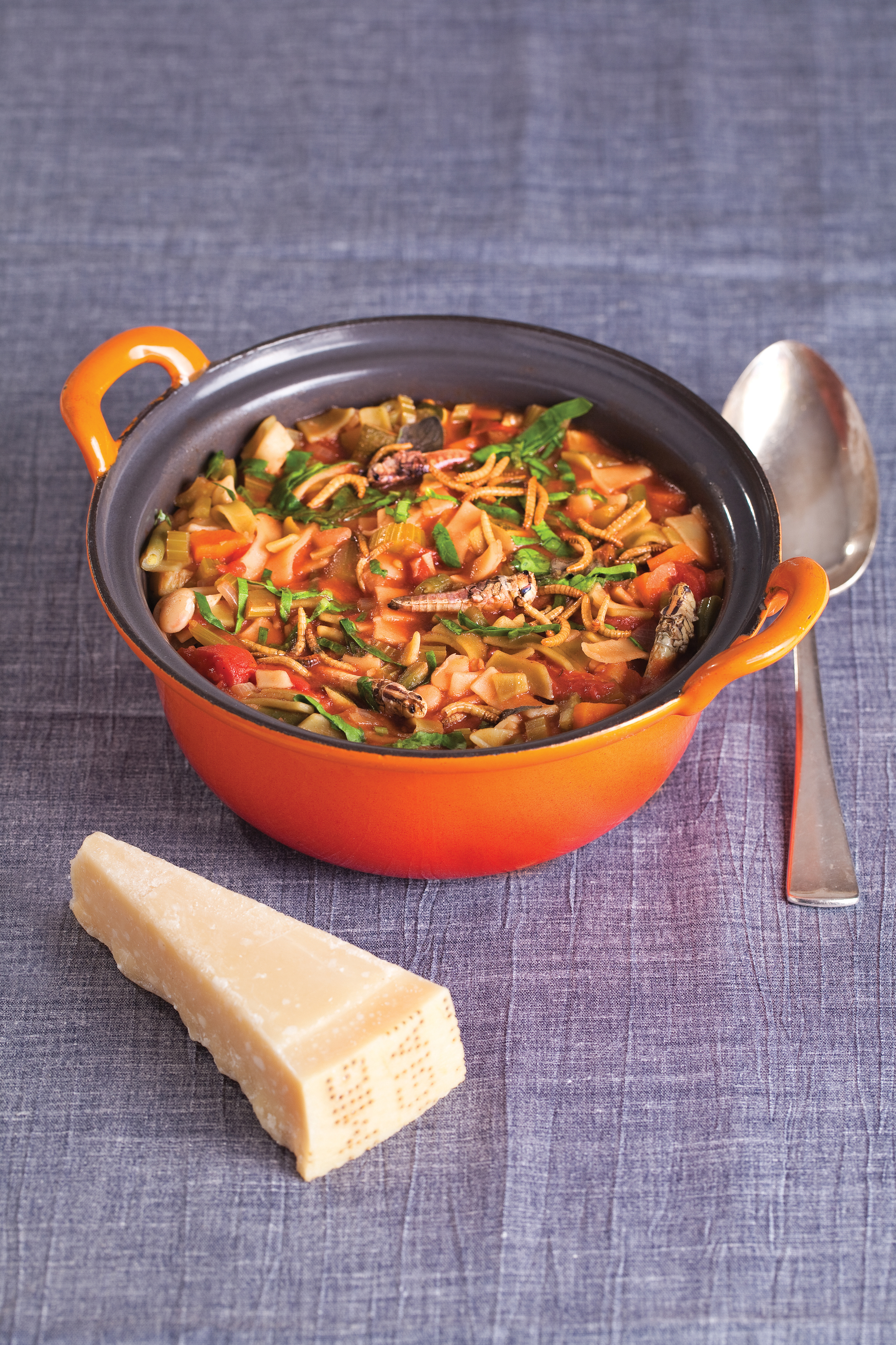 Minestrone with buffalo worms and mealworms (grasshopper garnish optional).
