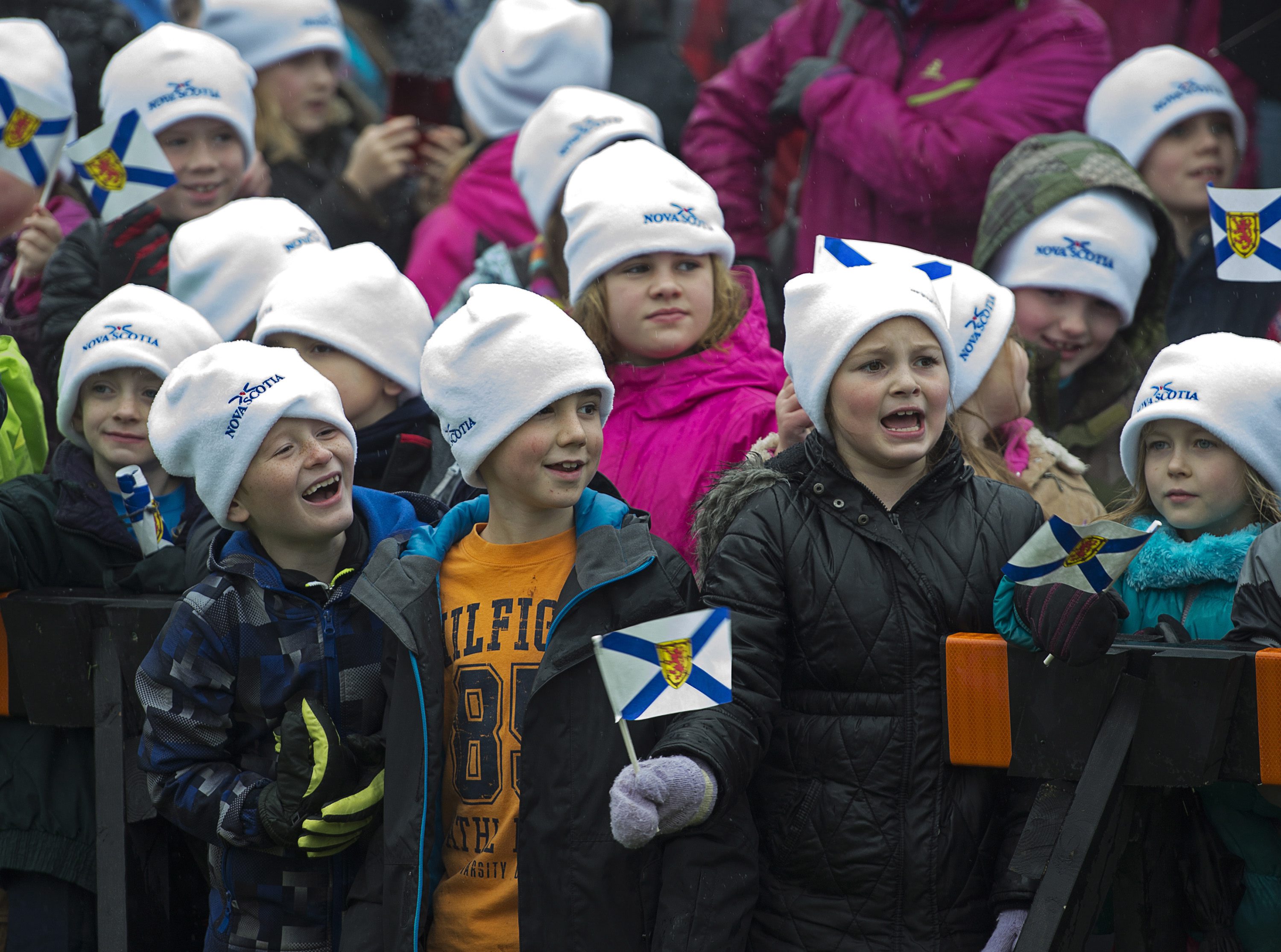 Schoolchildren cheered as the tree was felled. This is the 43d consecutive year that Halifax has sent a tree to Boston.