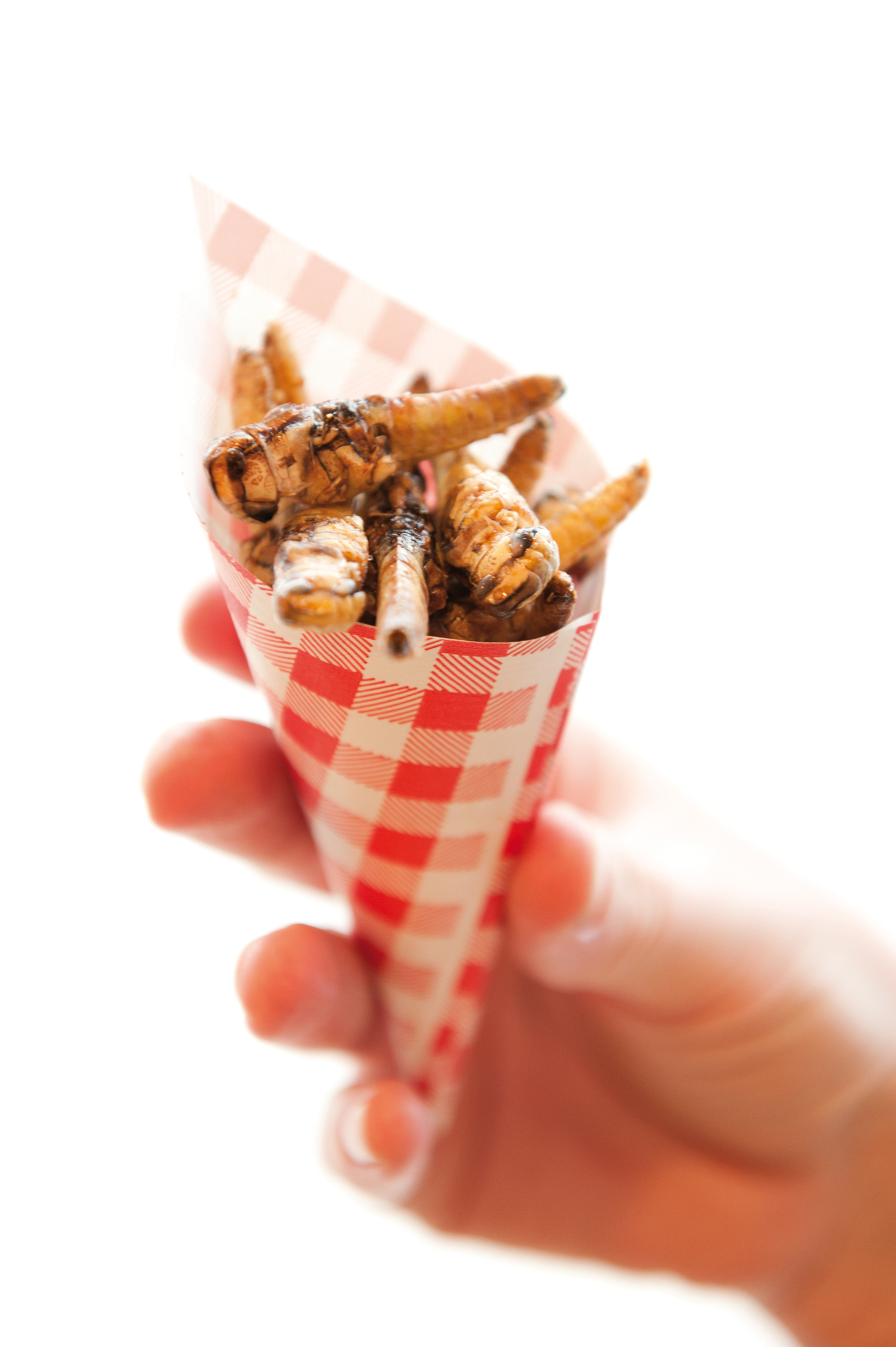 “Land shrimp” snack made of grasshoppers or locusts, hot pepper oil, lime, and salt.