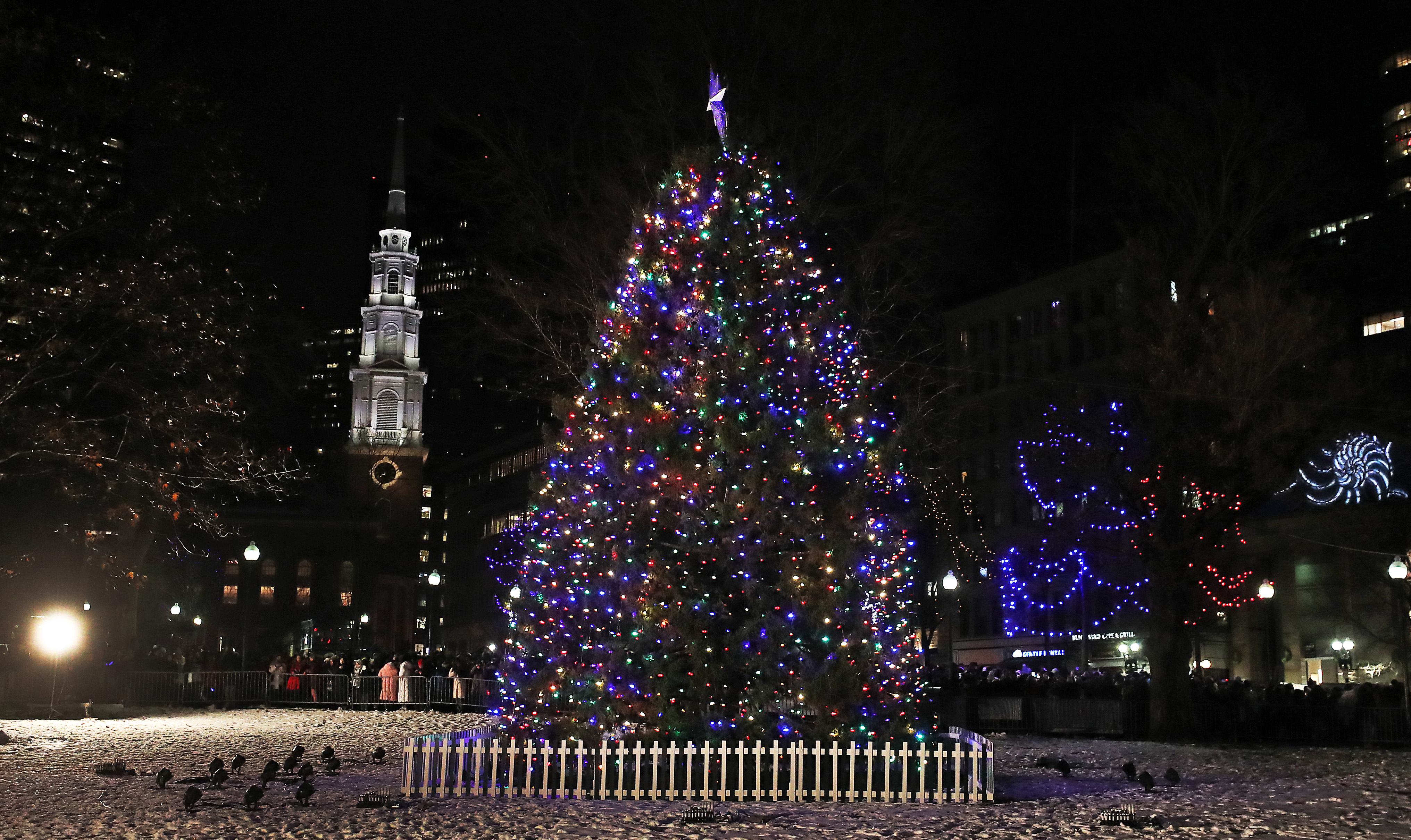 The holiday tree on Boston Common.