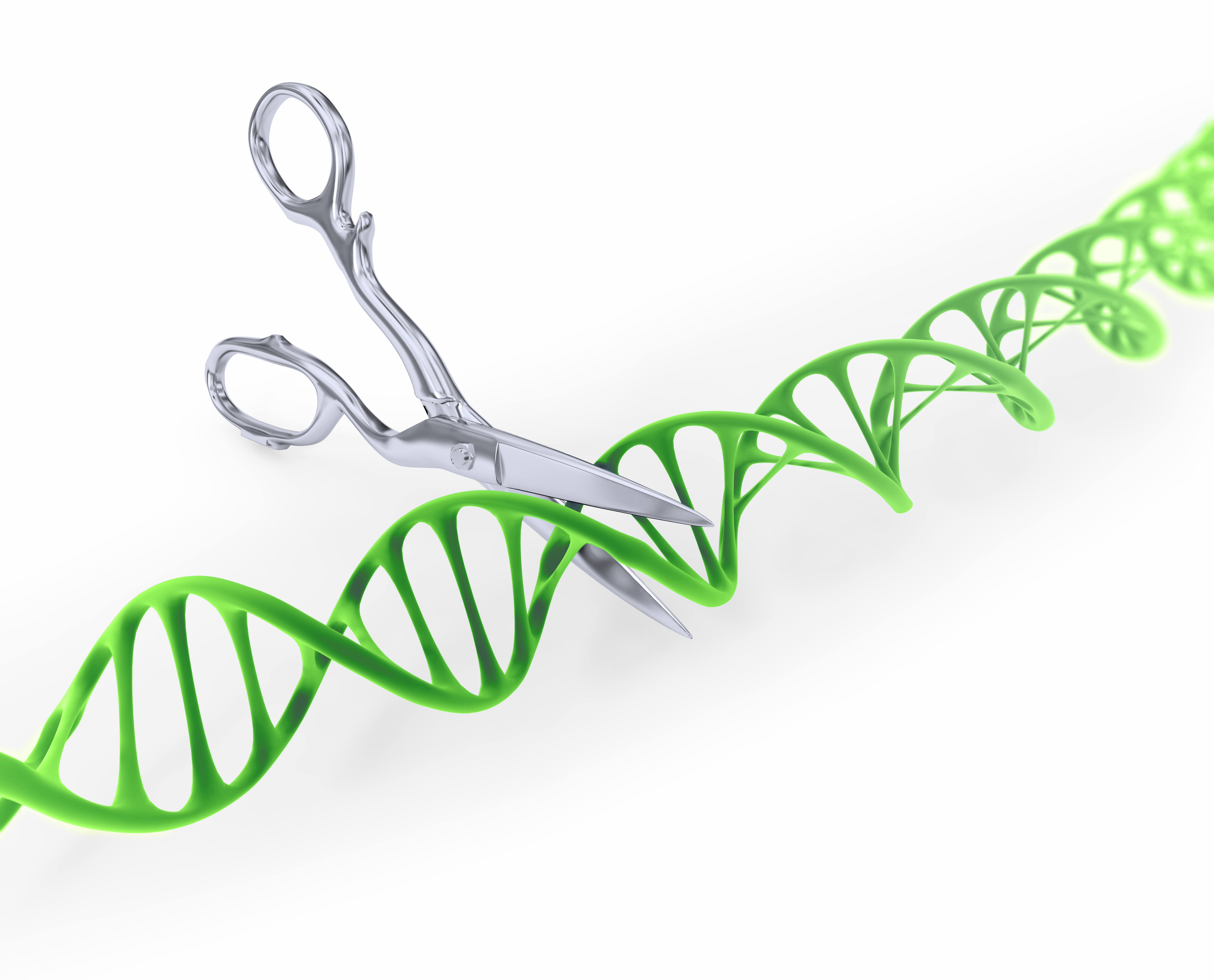 The competition to use CRISPR gene-editing technology to develop medical treatments is hotter than ever.