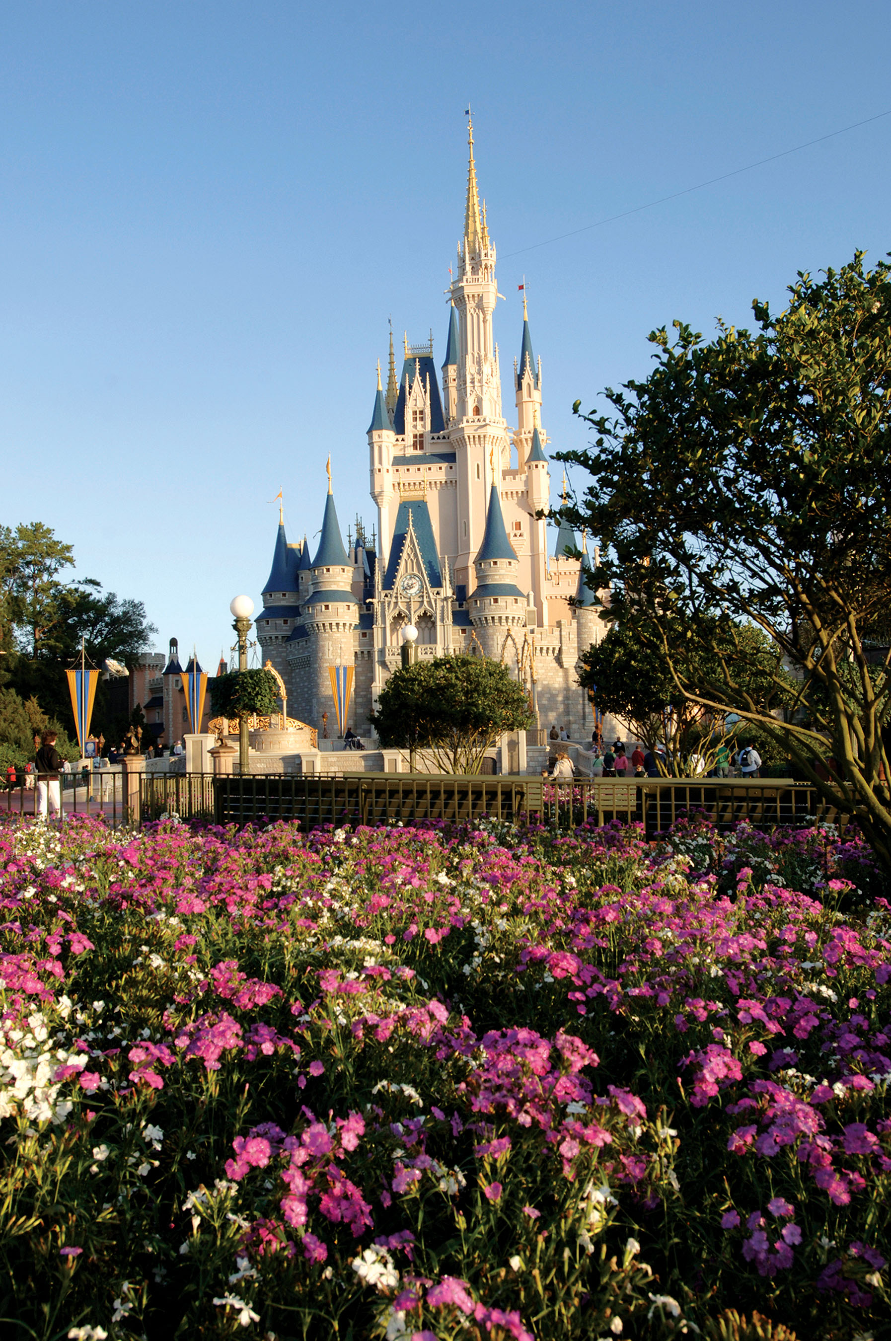 Cinderella’s castle.