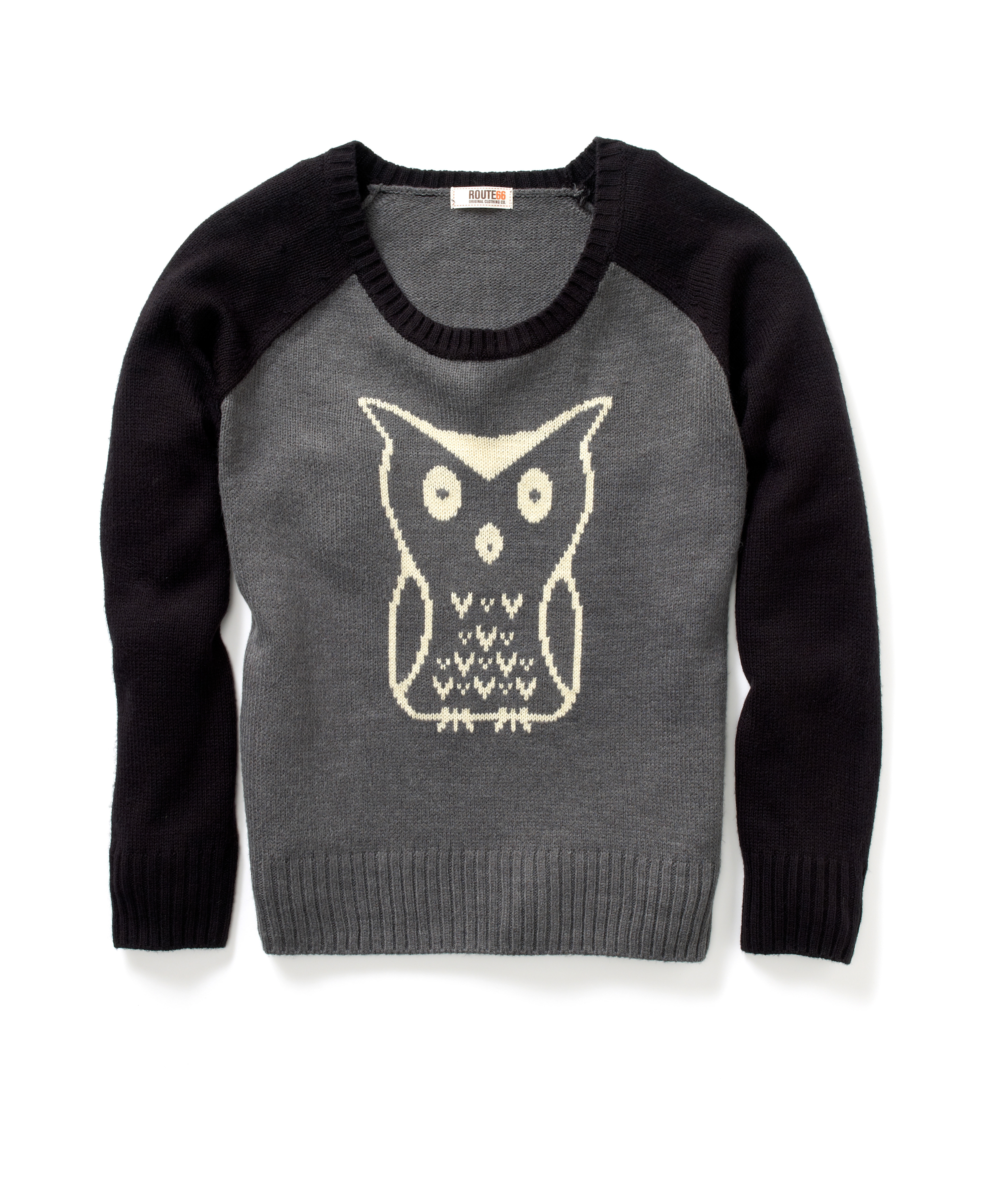 Owl sweater, $24.99 at Kmart, 350 Grossman Drive, Braintree