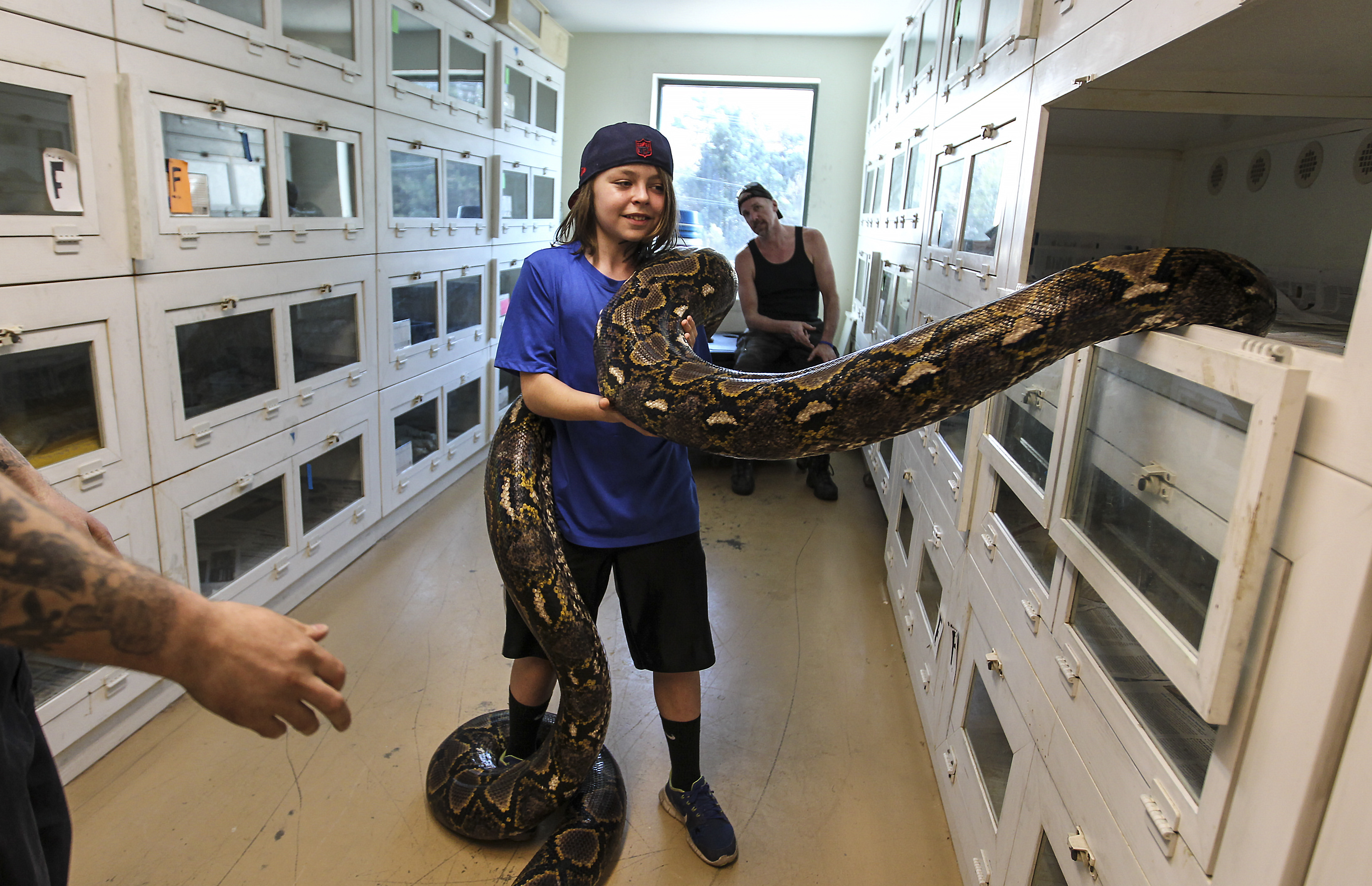 N.H. store draws reptile fans from around the region - The