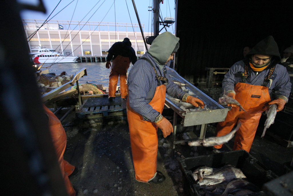 Workers at Atlantic Coast Seafood unloaded and sorted fish.